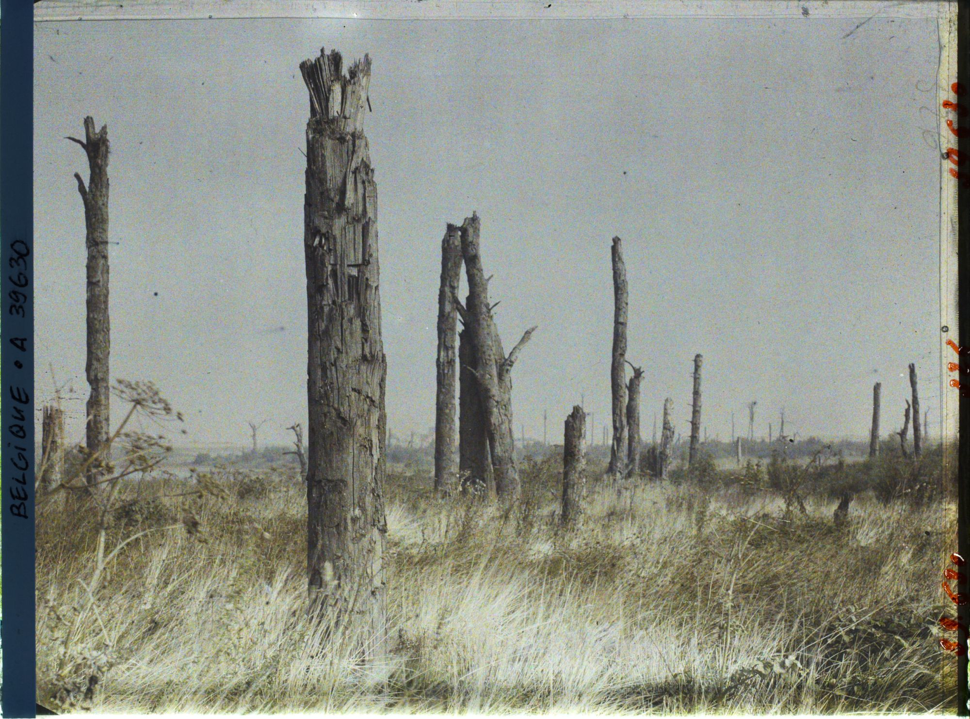 Image représentant Le parc du château