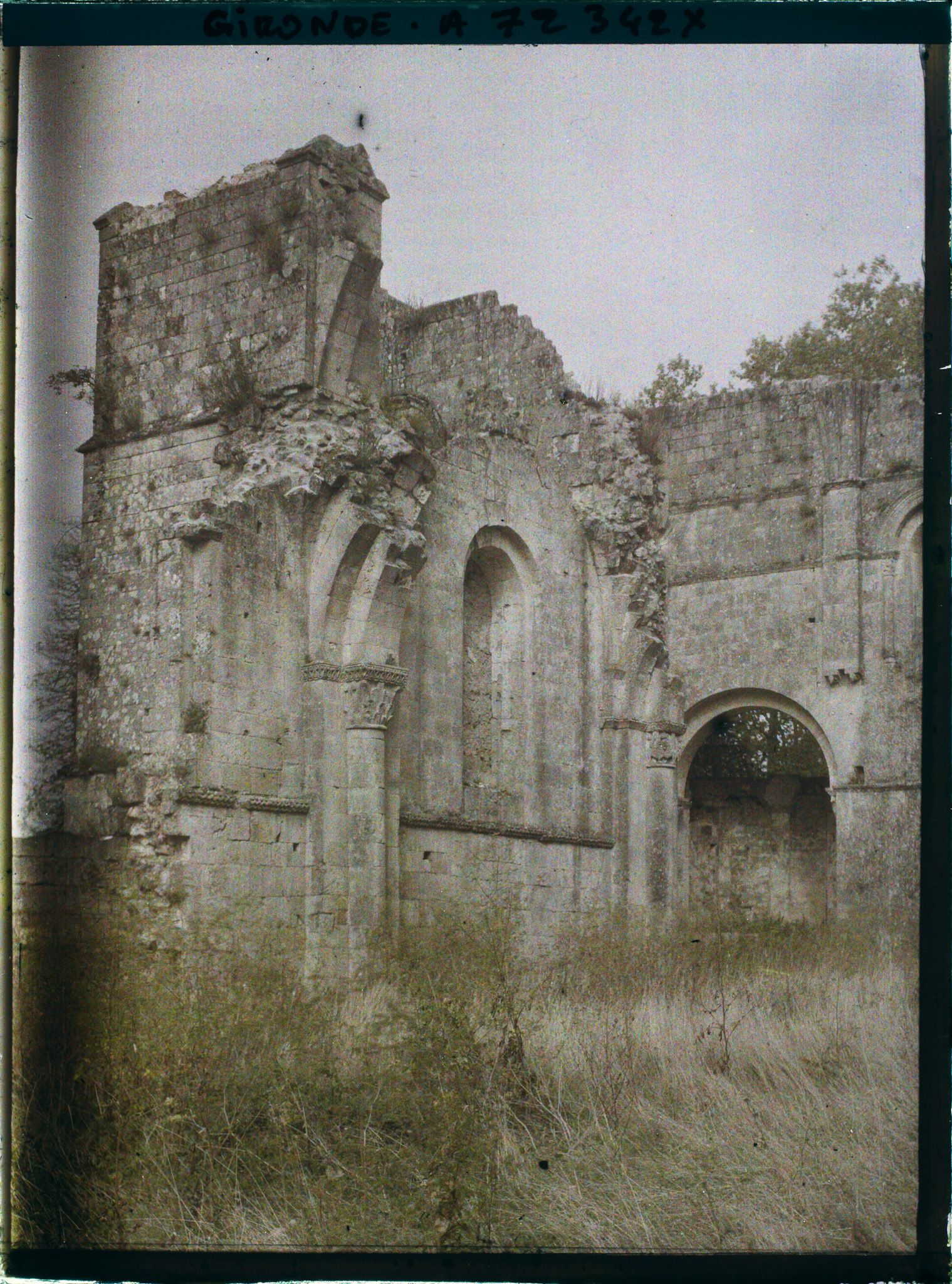 Image représentant Abbaye de La Sauve-Majeure