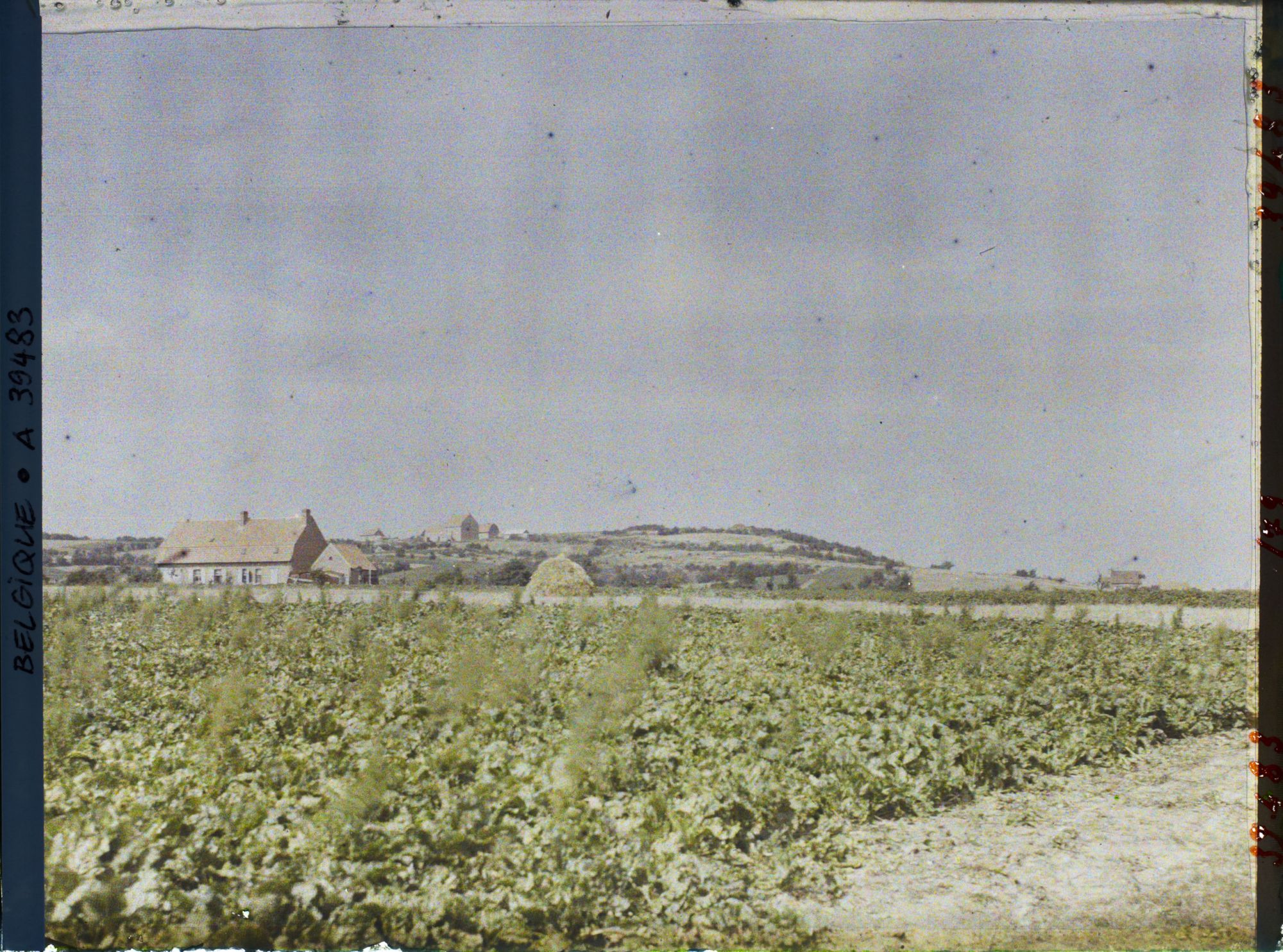 Image représentant Belgique, Locre, Une vue sur le Mont Rouge