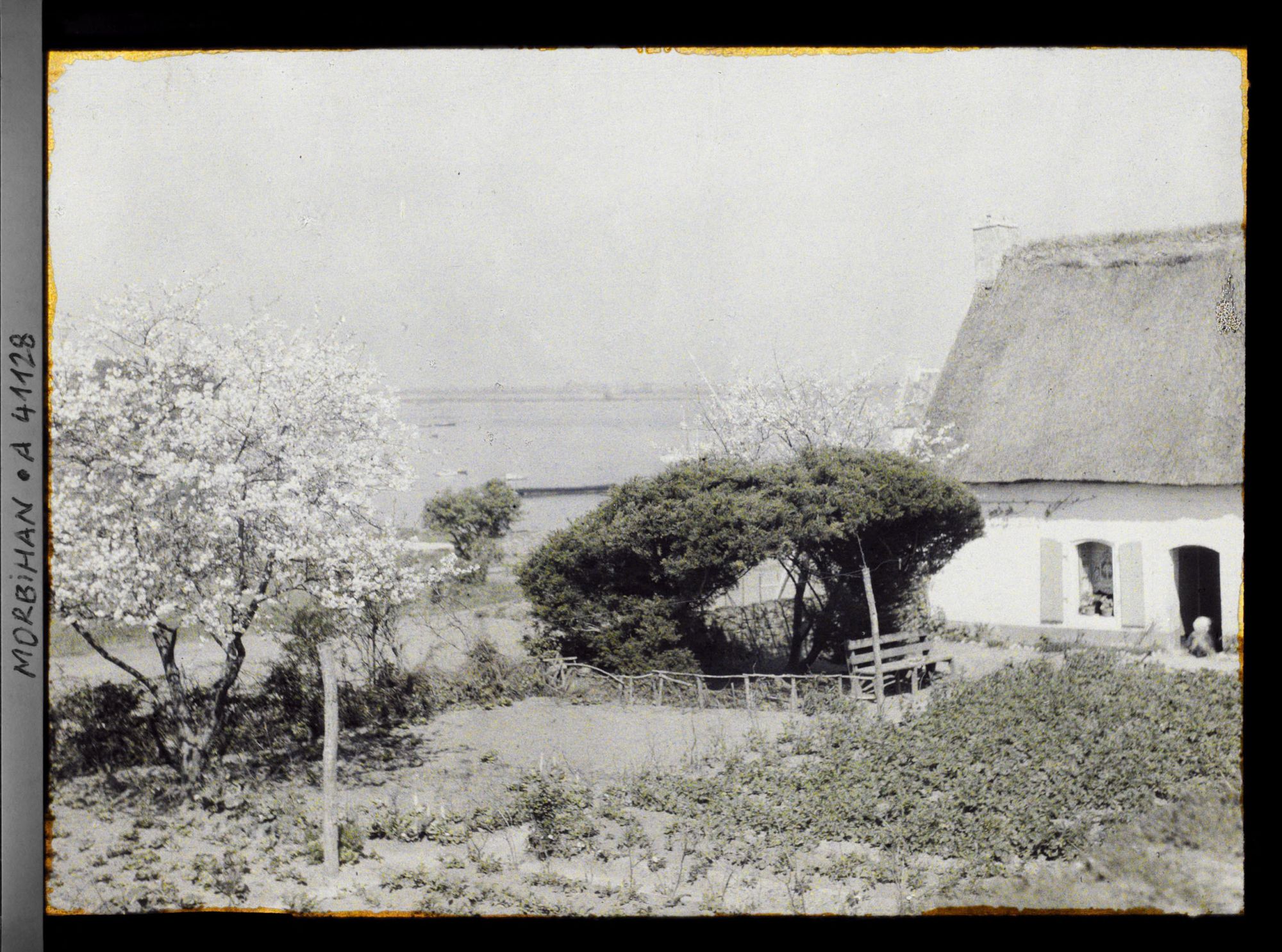 Image représentant Le jardin d'une maison de l'Ile-aux-Moines ; à l'arrière-plan, la baie