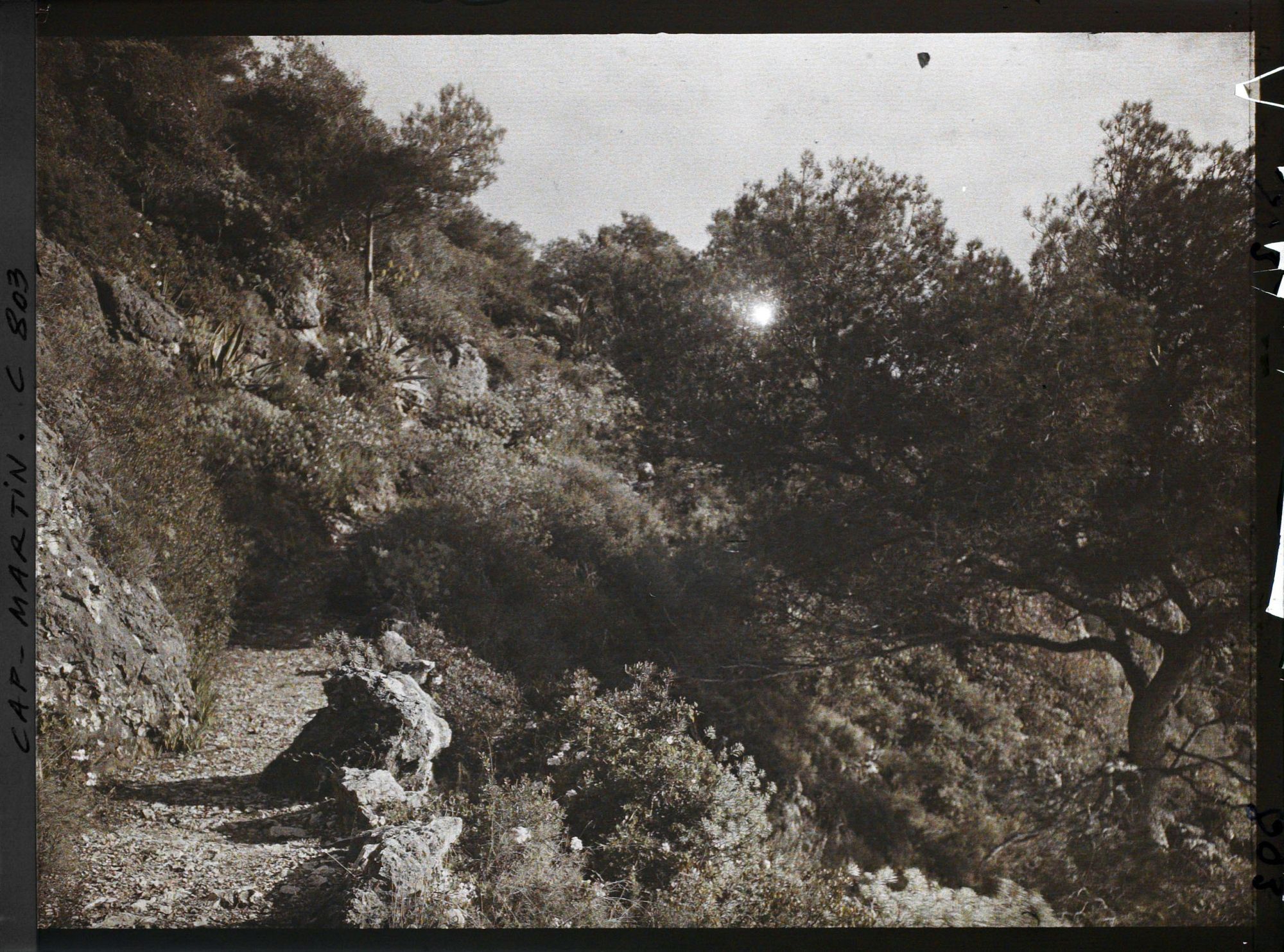 Image représentant sentier de mer allant à Dunur (sic)