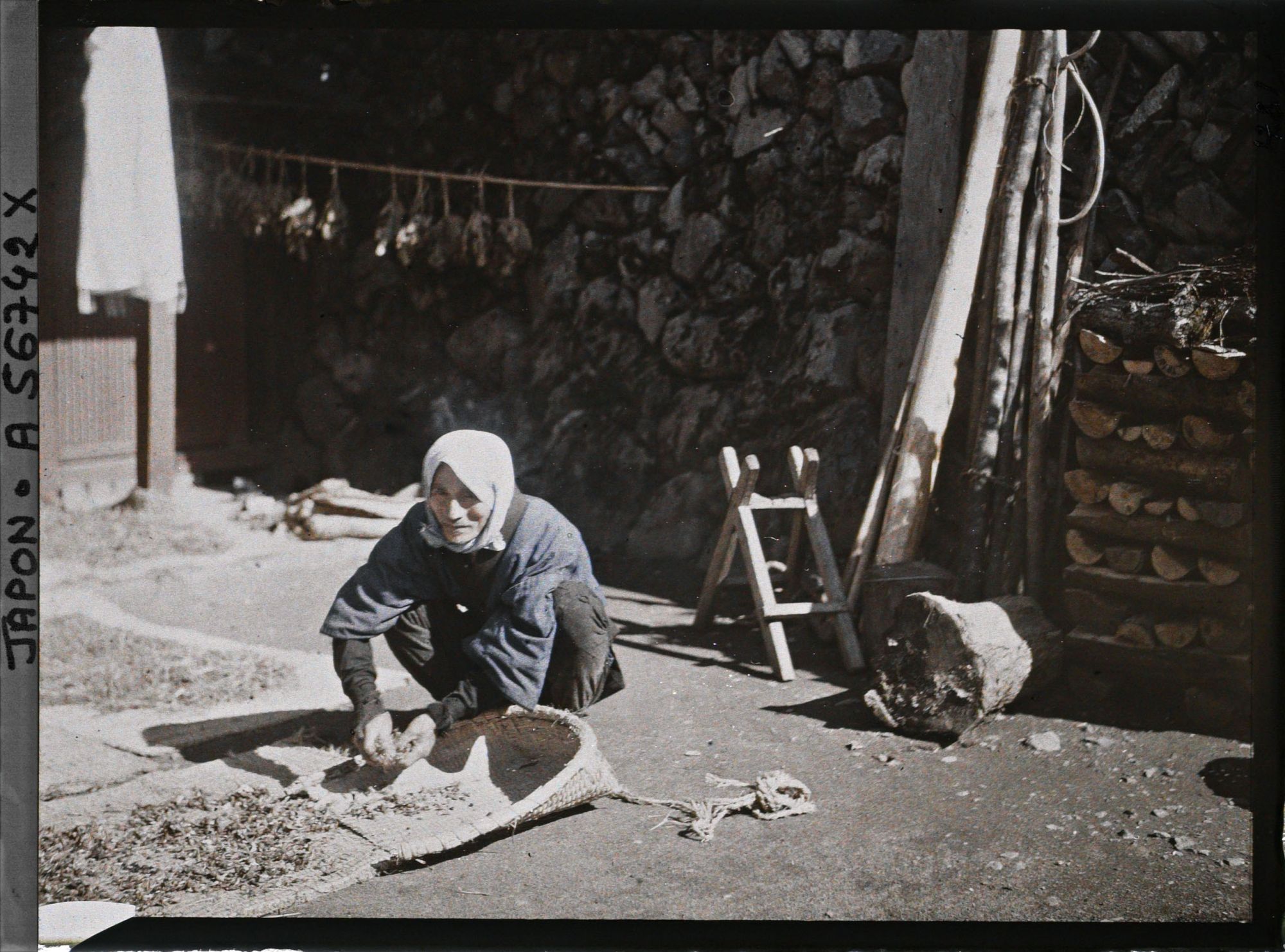Image représentant Femme occupée au triage des pois