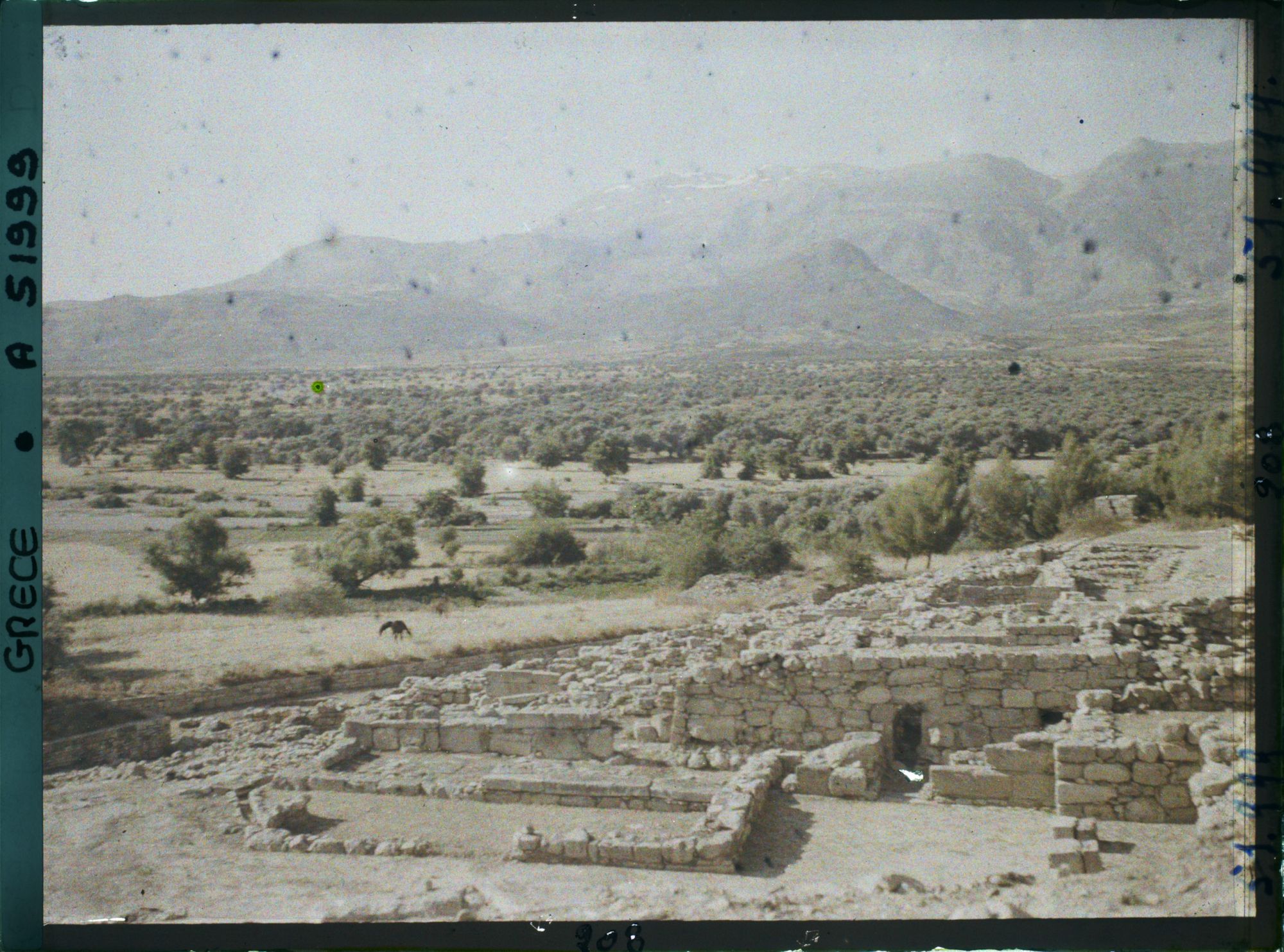 Image représentant Ruines de la villa. Au fond, le mont Ida