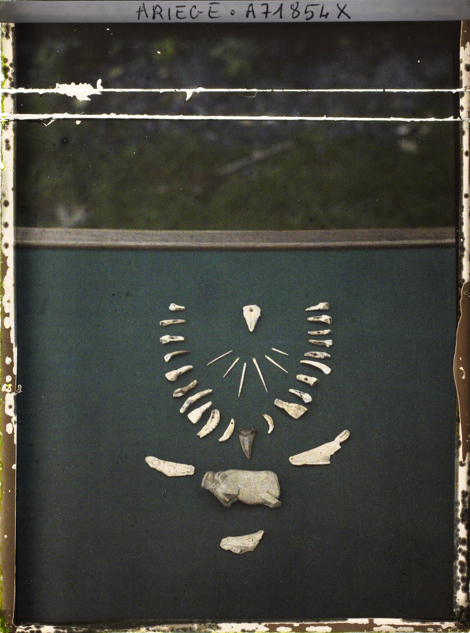 Image représentant Collier de dents et propulseur