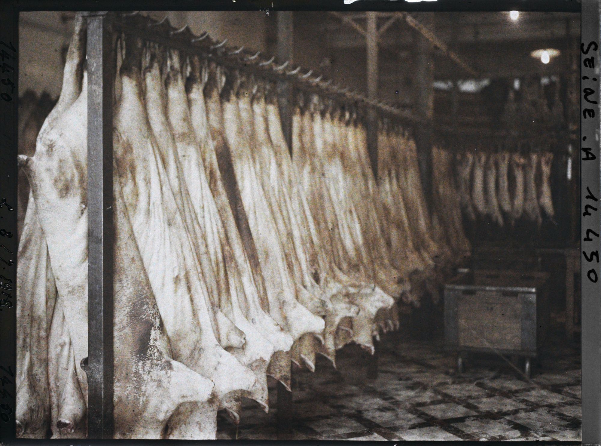 Image représentant Cochons pendus, charcuterie aux environs des Halles (?)
