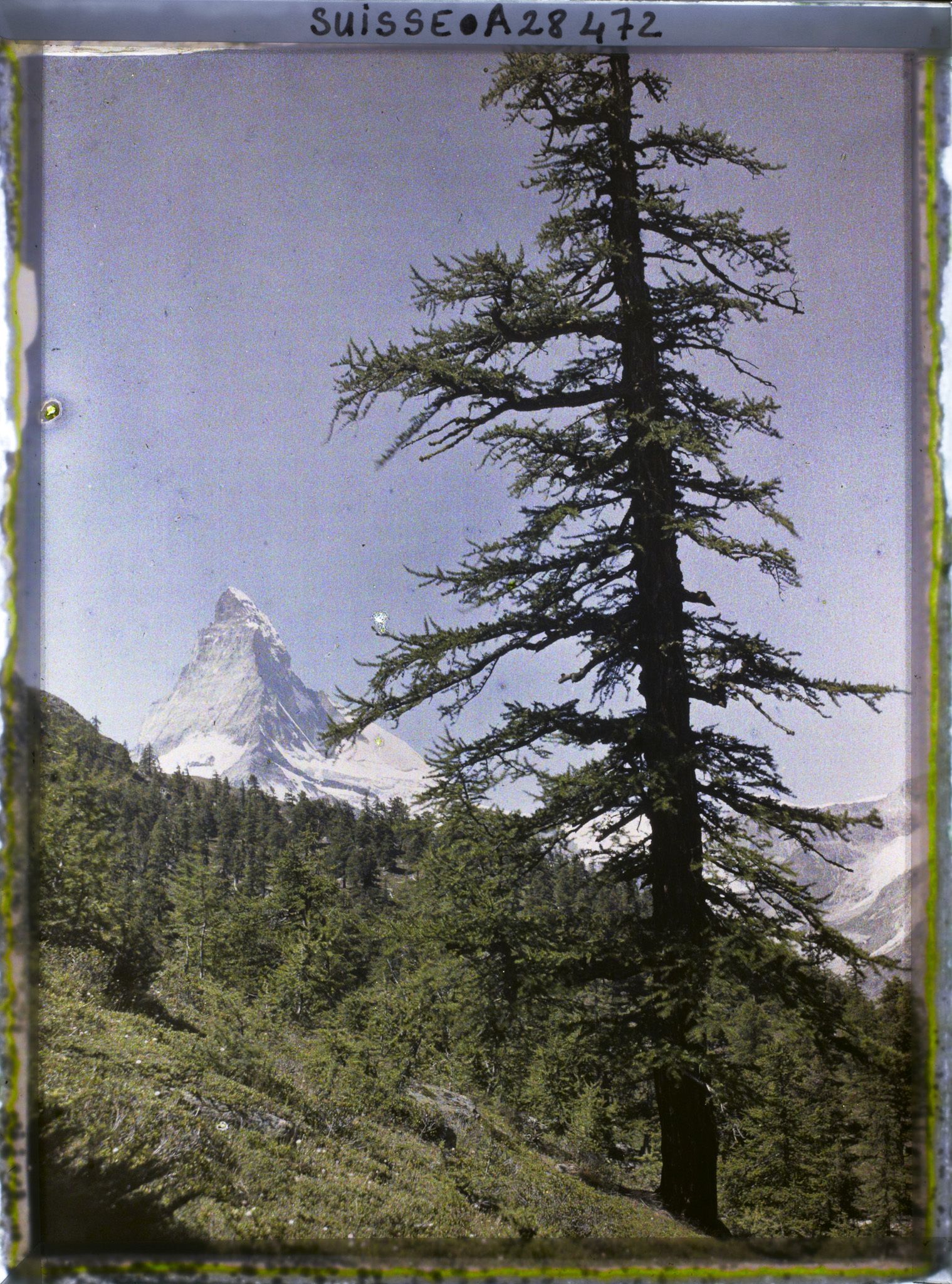 Image représentant Le Cervin depuis le hameau de Findeln