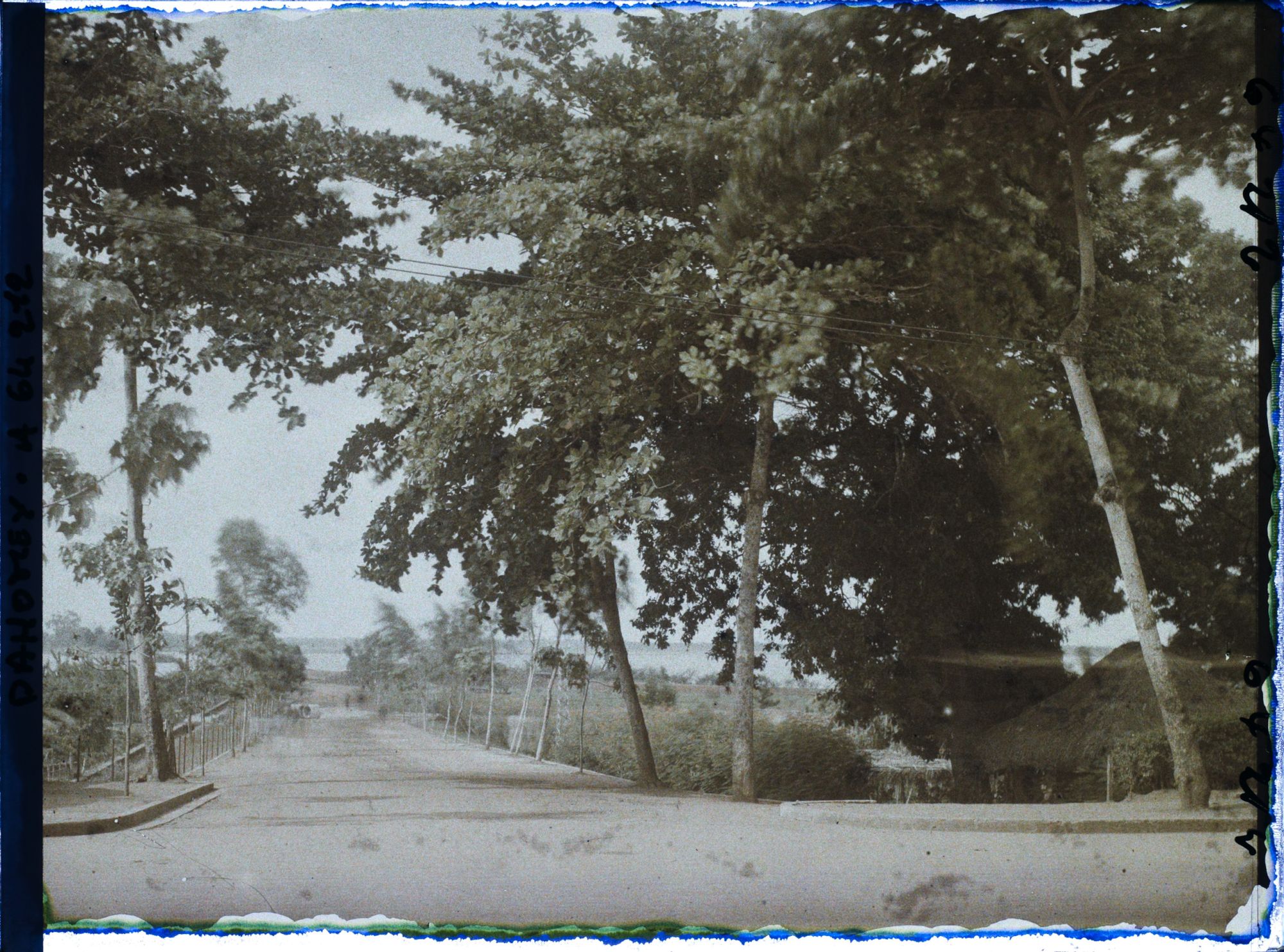 Image représentant L'avenue Mallan ? Vue vers la lagune ?