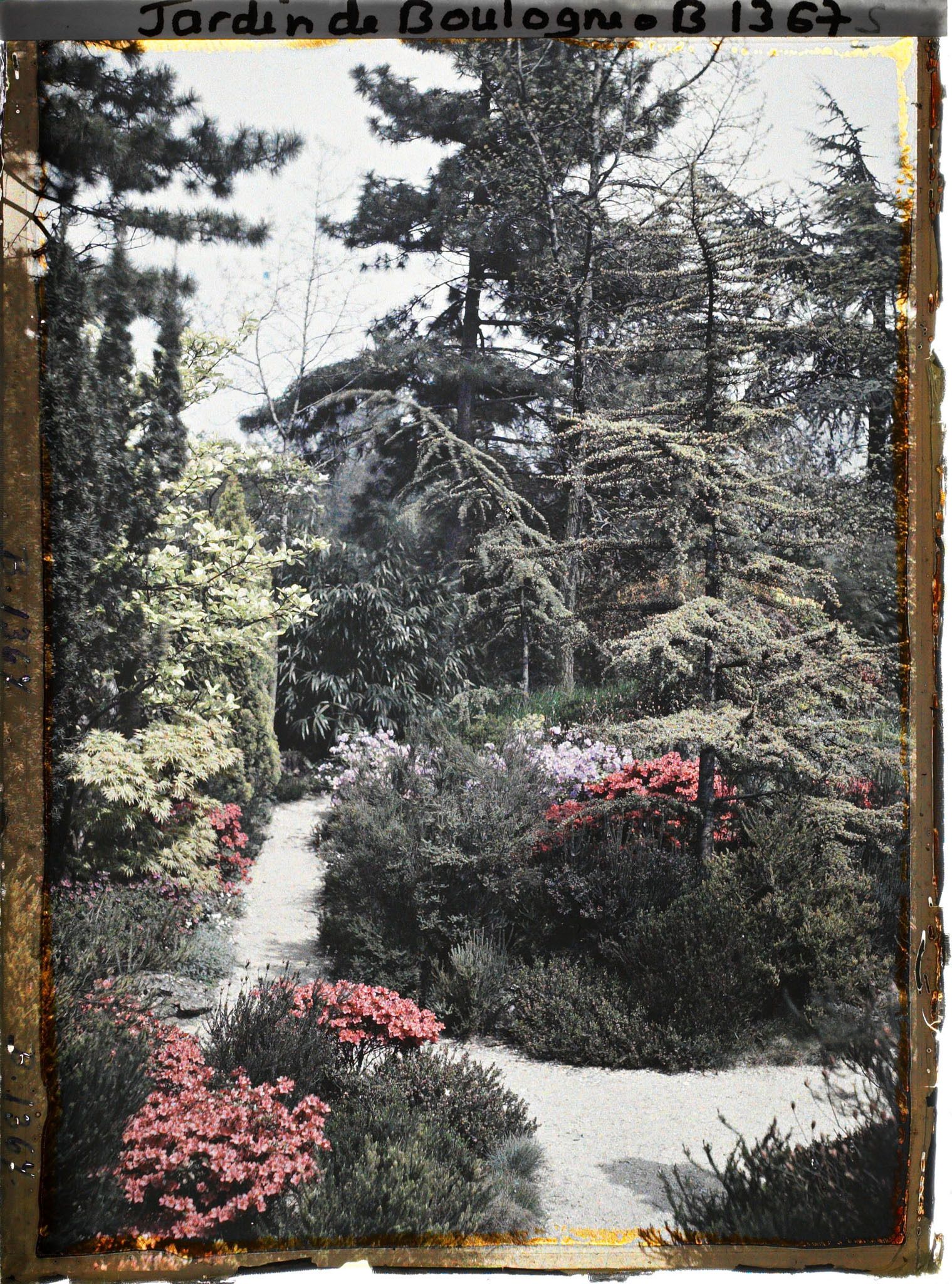 Image représentant Allée du " sanctuaire japonais " longeant le verger-roseraie, bordée d'une rocaille fleurie