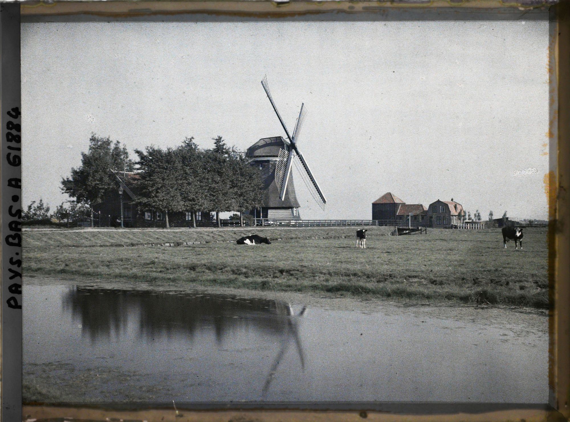 Image représentant Ferme et moulin à vent dans un polder