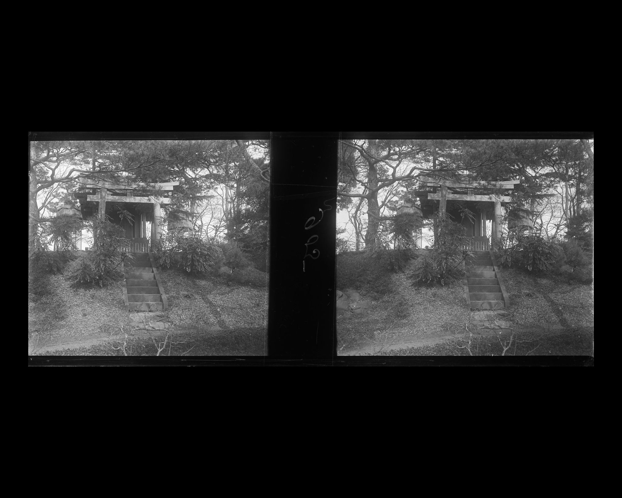 Image représentant Le jardin du comte Okuma