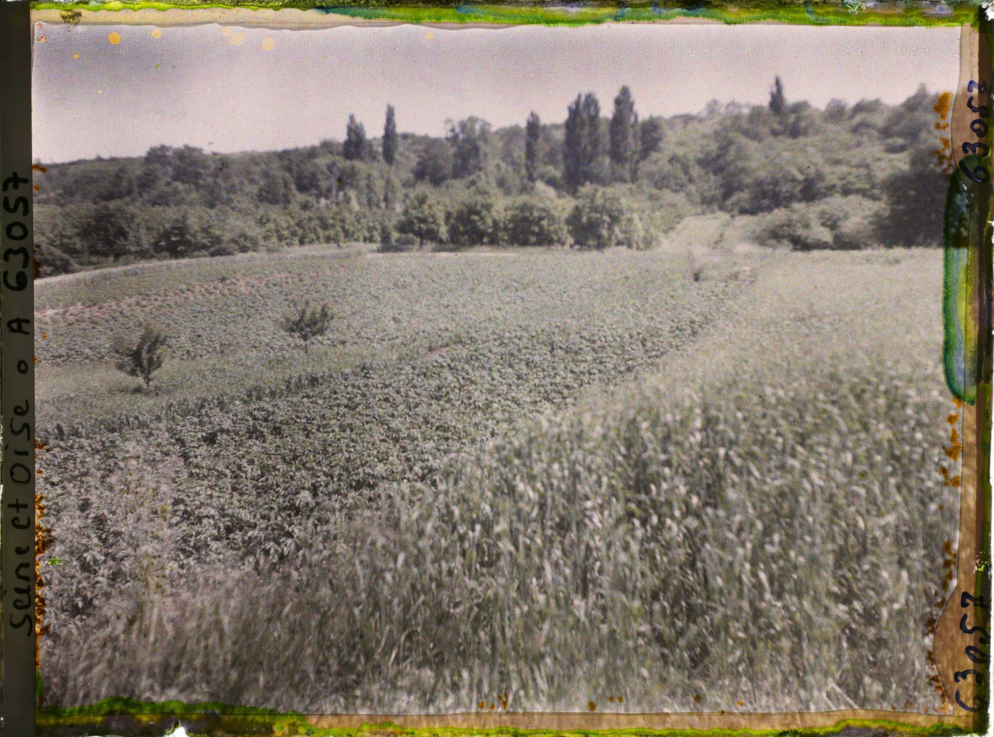 Image représentant Ile de France, Triel, Blés et Pommes de terre