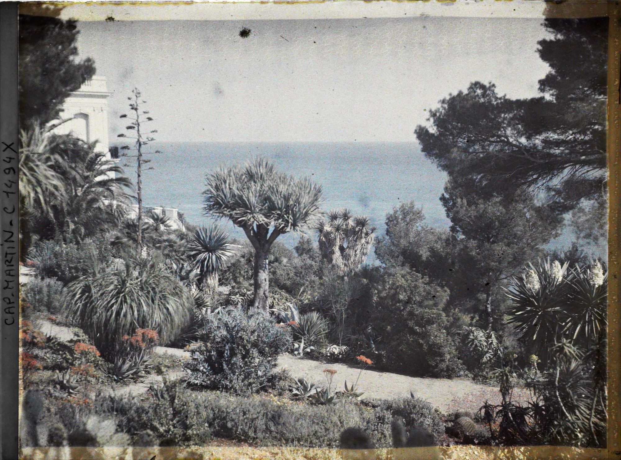 Image représentant Villa Kahn - une allée dans le jardin, villa à l'arrière-plan