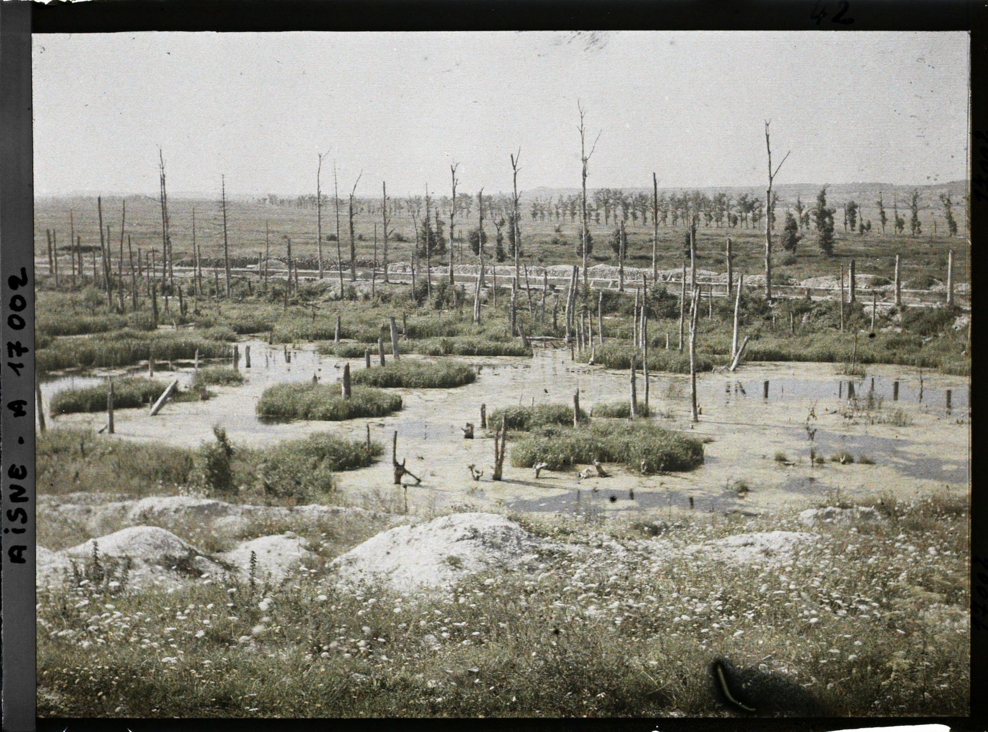 Image représentant France, Les Marais de la Cote 108 et les arbres déchiquetés