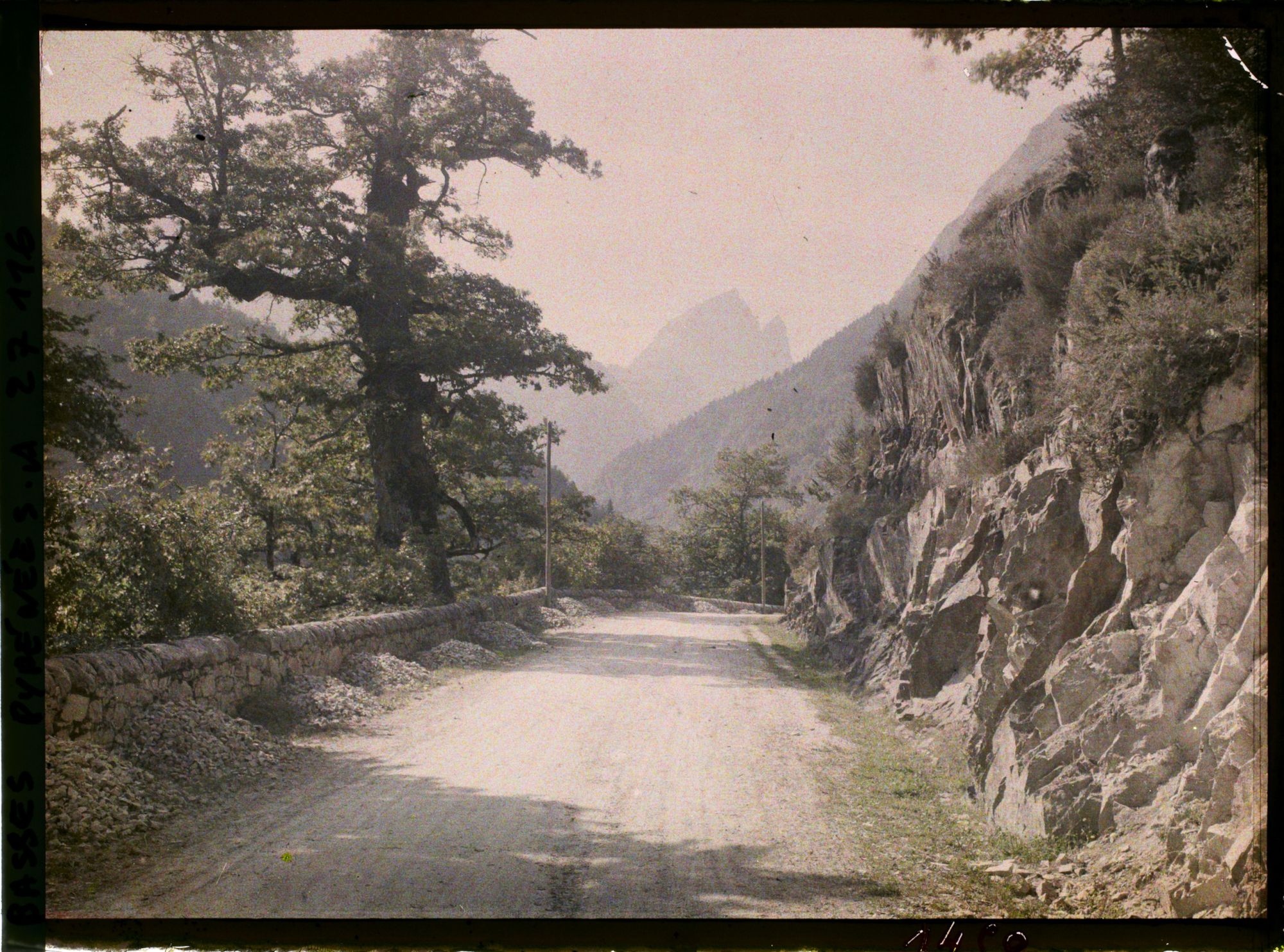 Image représentant France , Vallée D'Ossau, La route au Chêne de l'Ours
