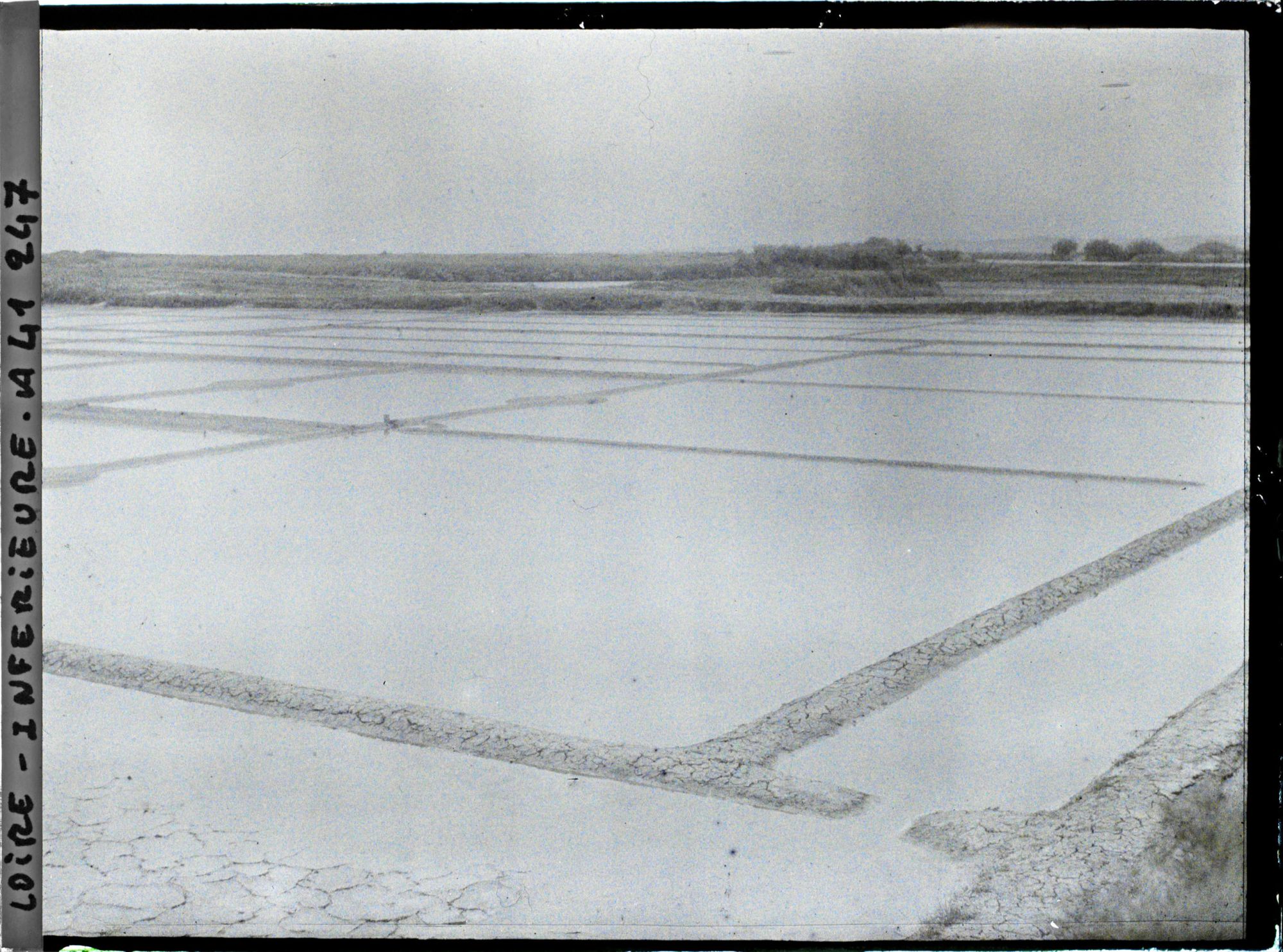 Image représentant Les marais salants