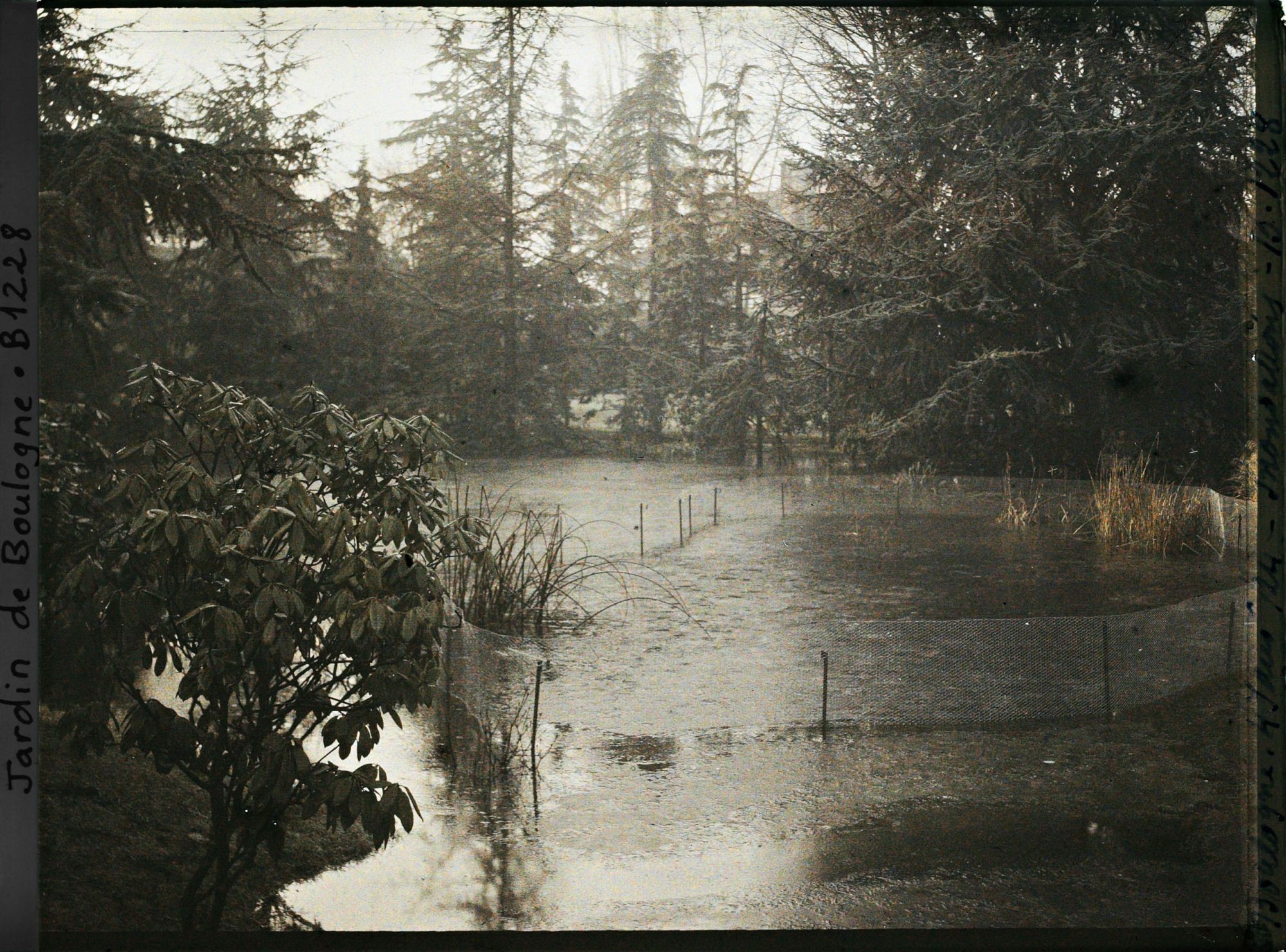 Image représentant Le marais inondé