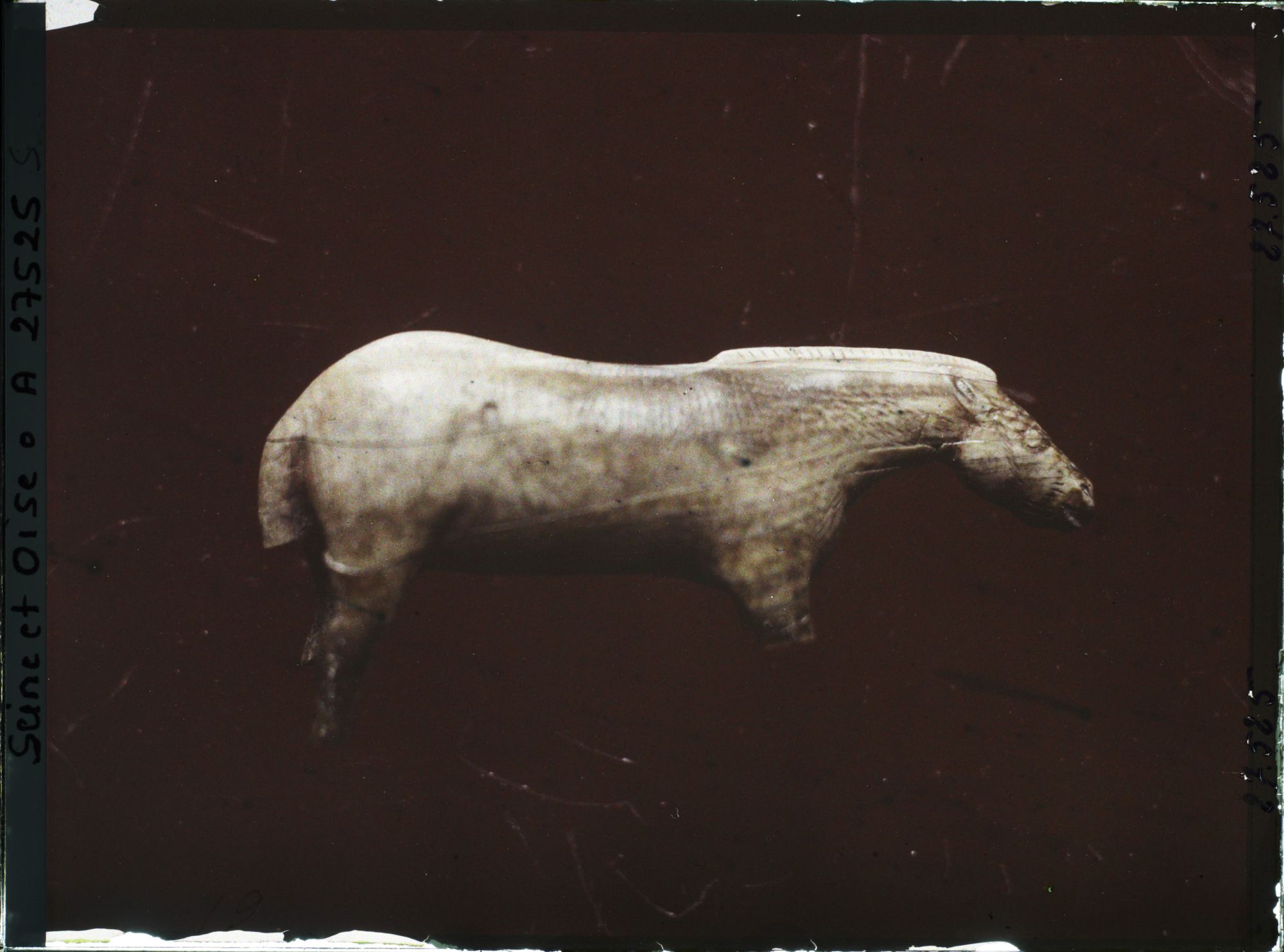 Image représentant France, St Germain-en-Laye, Cheval en Ivoire (Grotte de Lourdes)