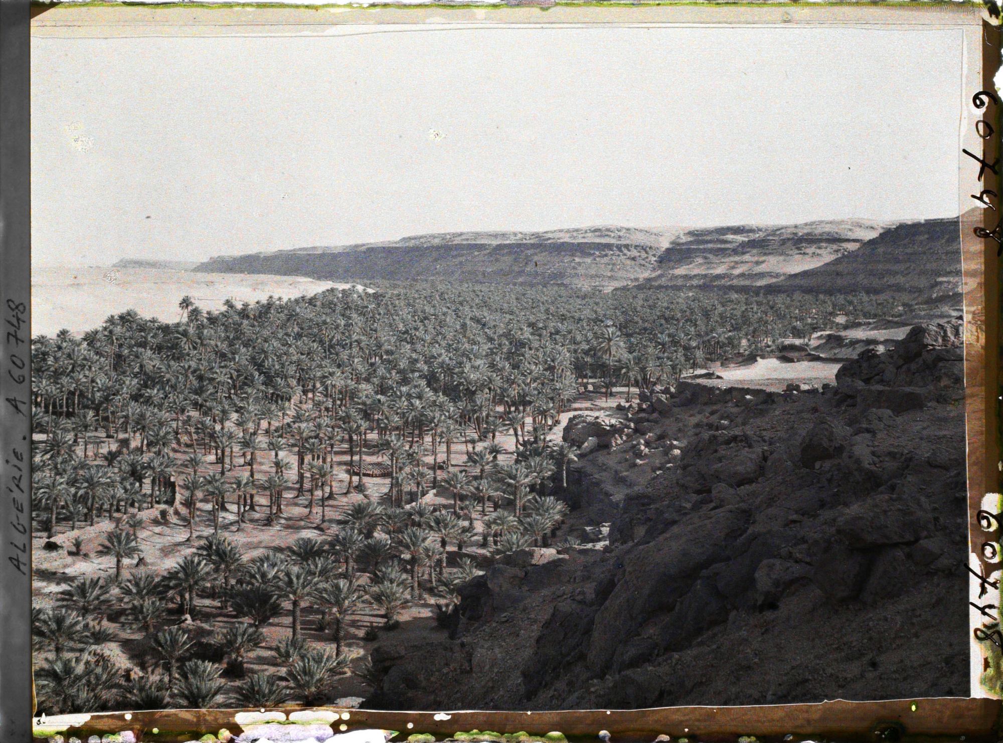 Image représentant Vue de l'oasis vers l'ouest