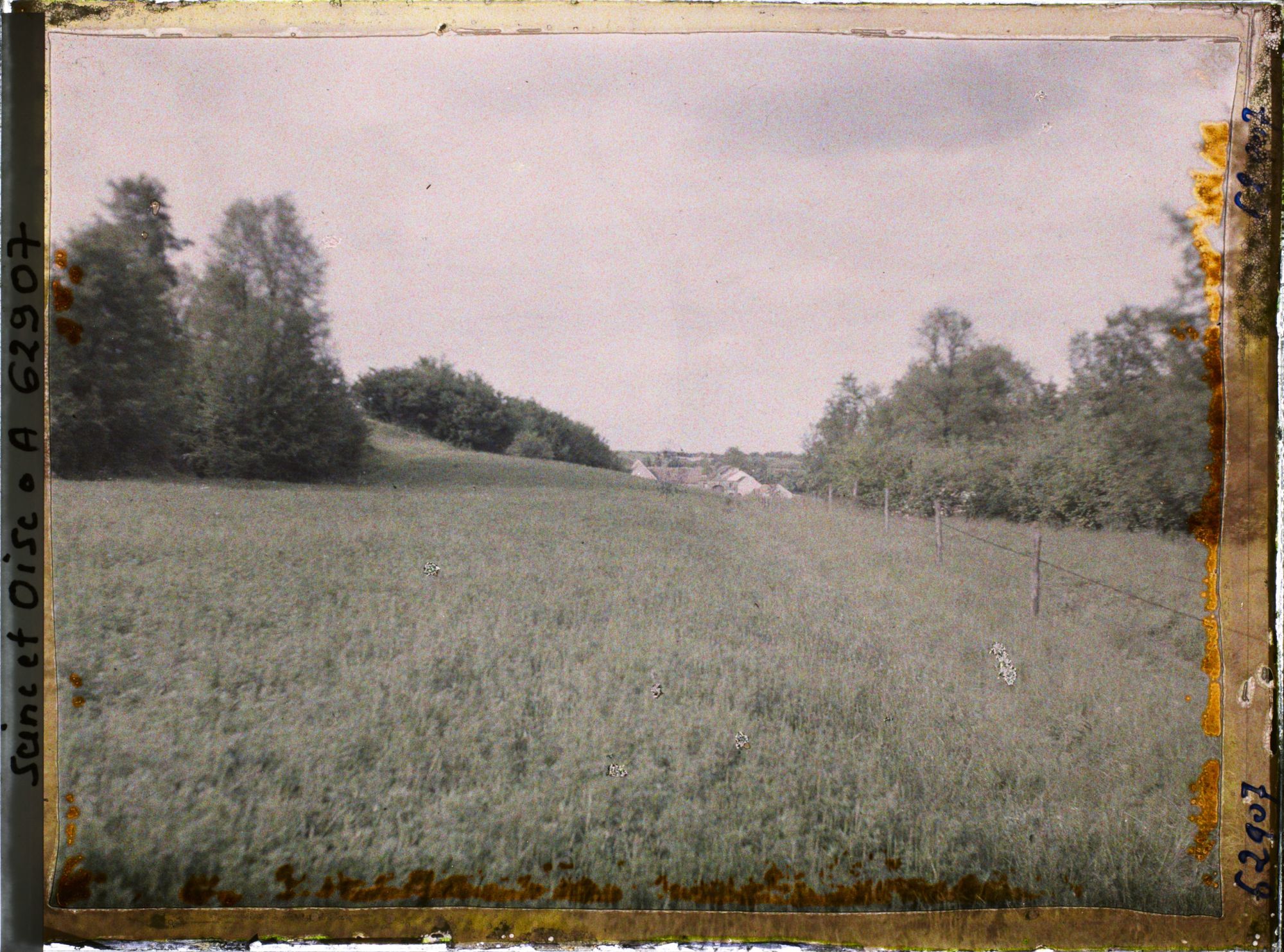 Image représentant Ile de France, Meulan, Champ de Luzerne