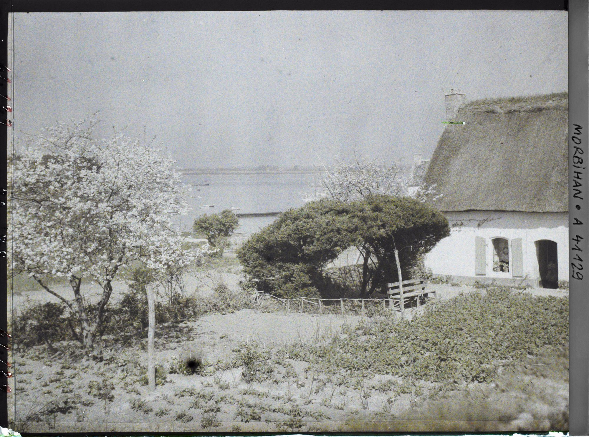 Image représentant Le jardin d'une maison de l'Ile-aux-Moines ; à l'arrière-plan, la baie