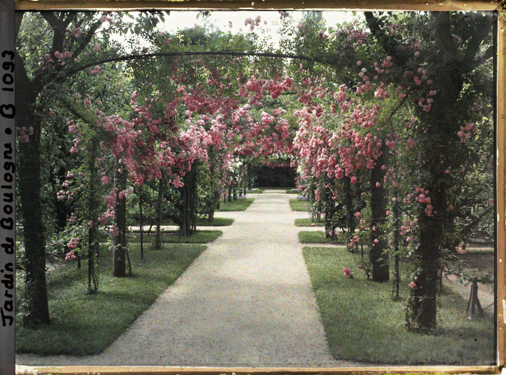 Image représentant Axe central du verger-roseraie vu vers la dépendance, après le rond-point proche du jardin français
