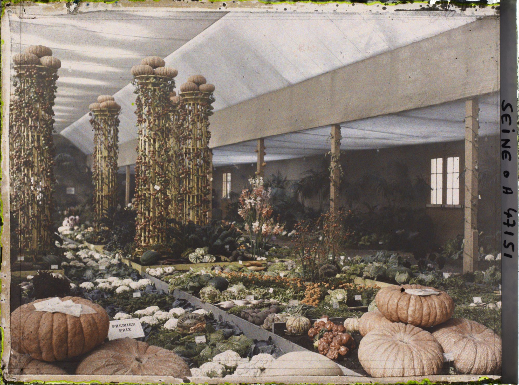 Image représentant L'Exposition des arts décoratifs, Pavillon de l'horticulture