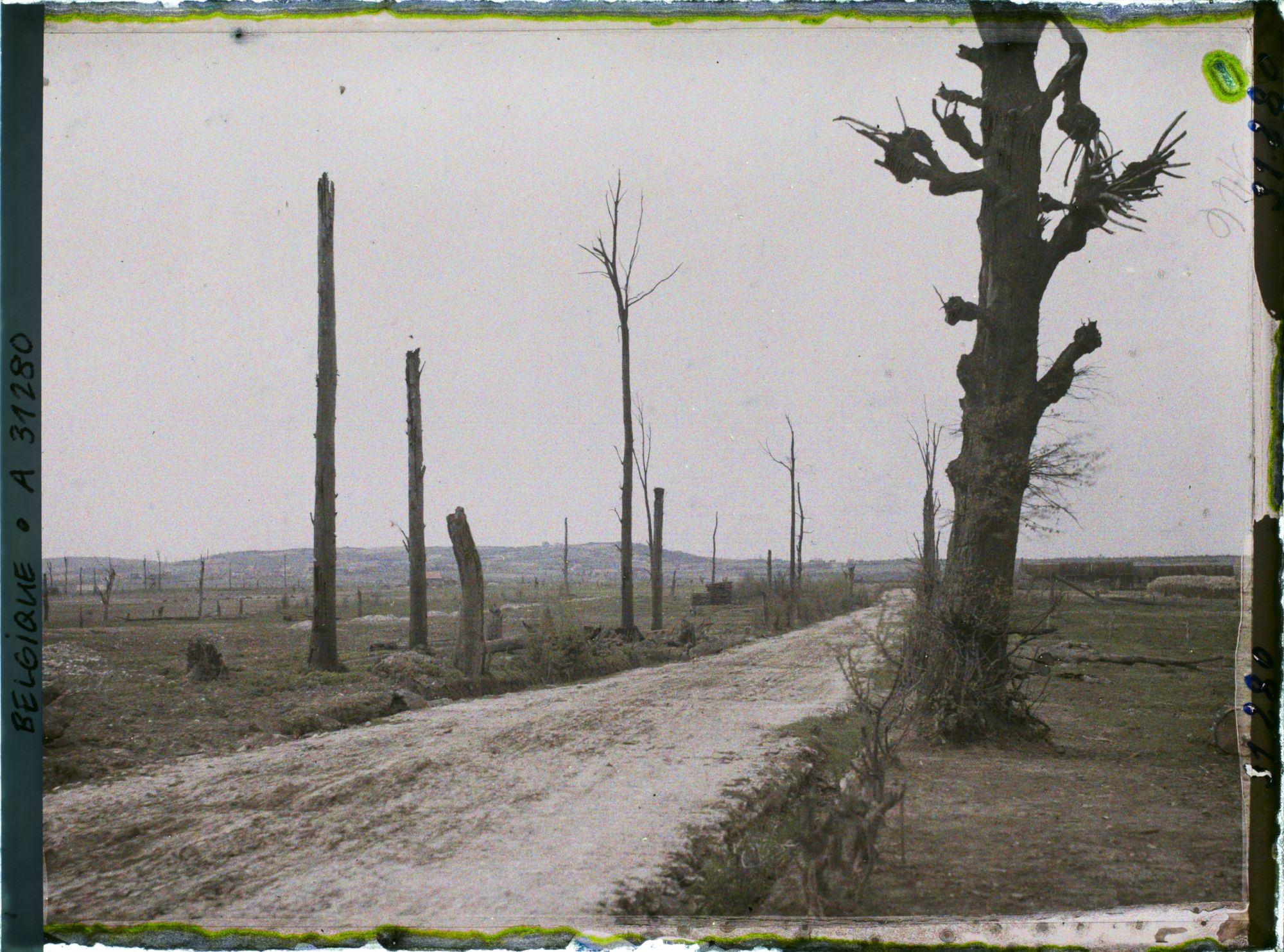 Image représentant Belgique, Kemmel, La route de Locre au Kemmel, le Mont Rouge et le Village de Locre