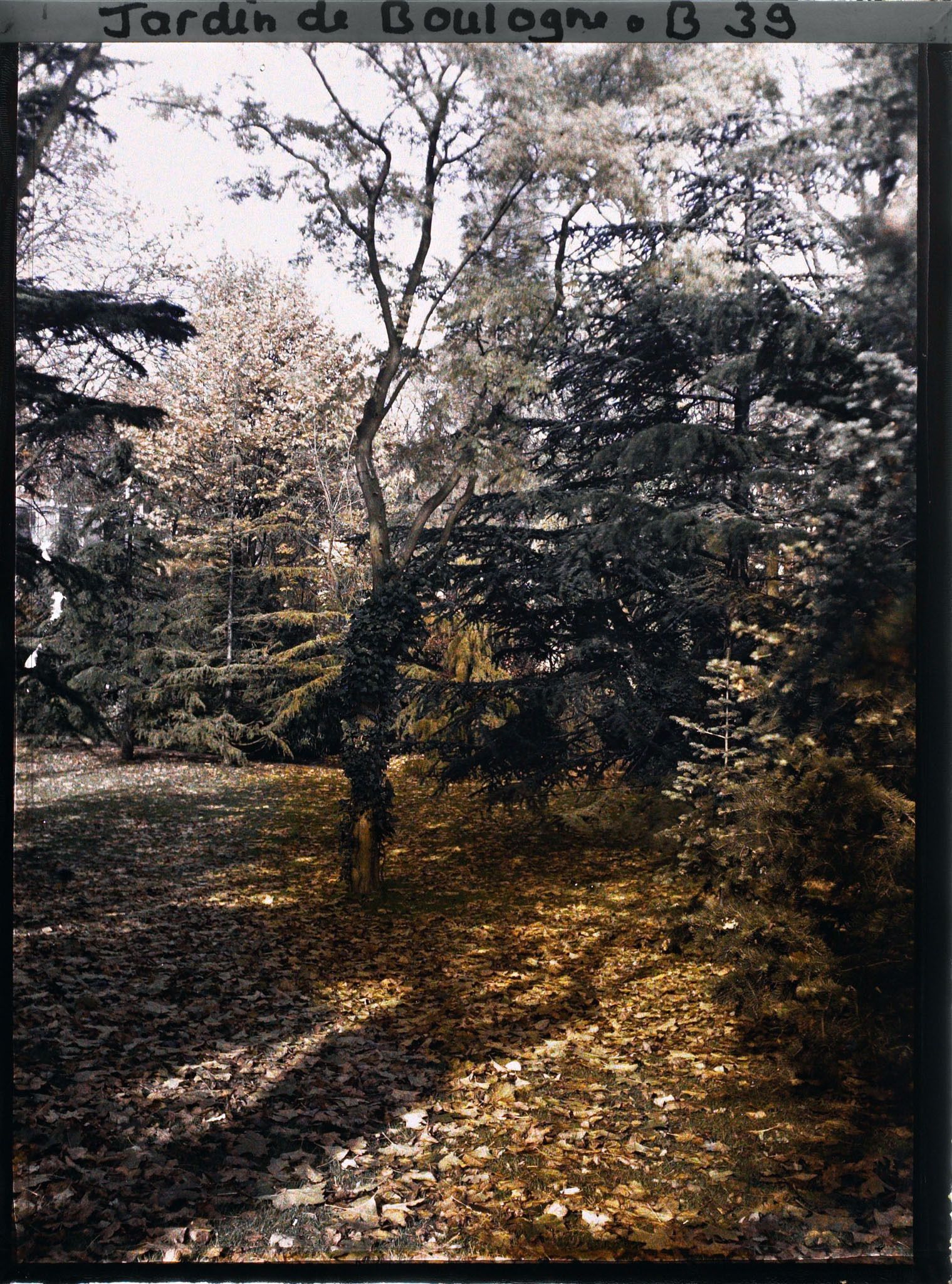 Image représentant La Grande Pelouse, vue en direction des 8 et 10 quai du 4-Septembre