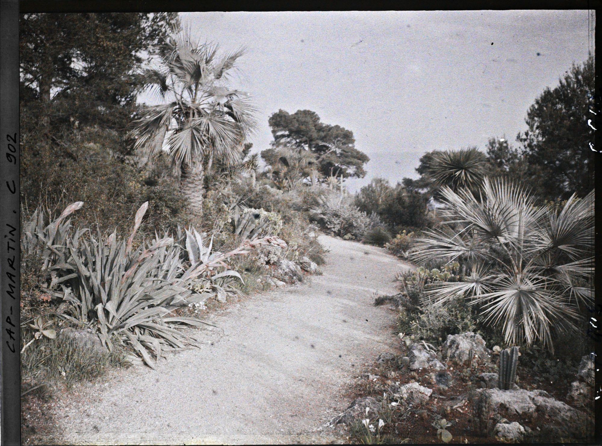 Image représentant Une allée du jardin donnant sur la mer