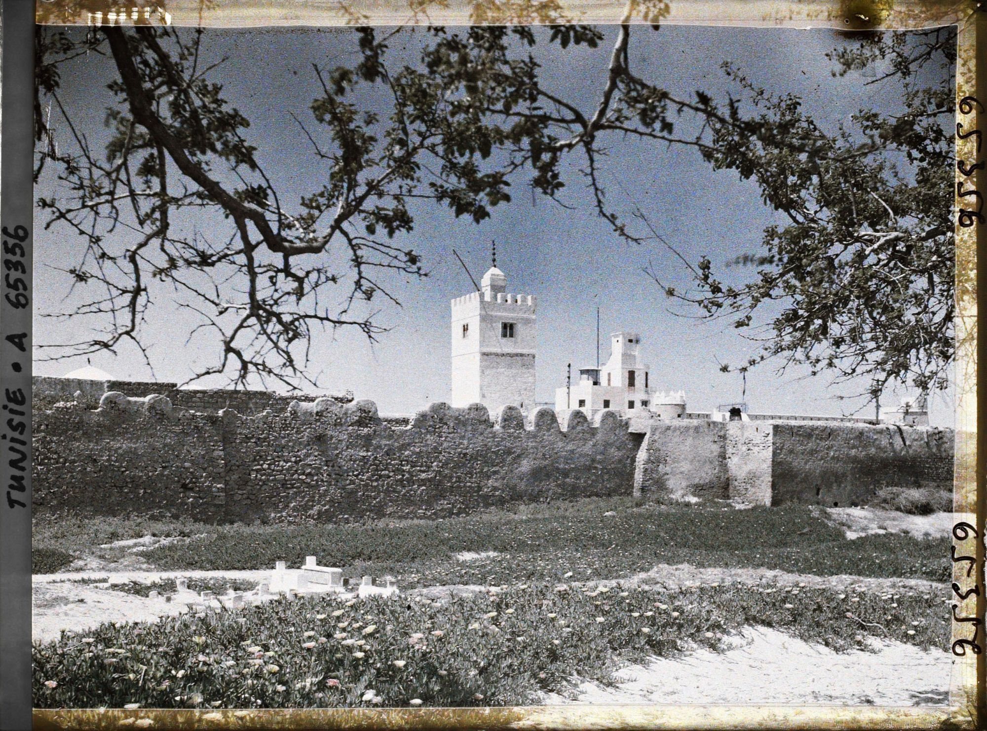 Image représentant L'enceinte et les bâtiments de la casbah