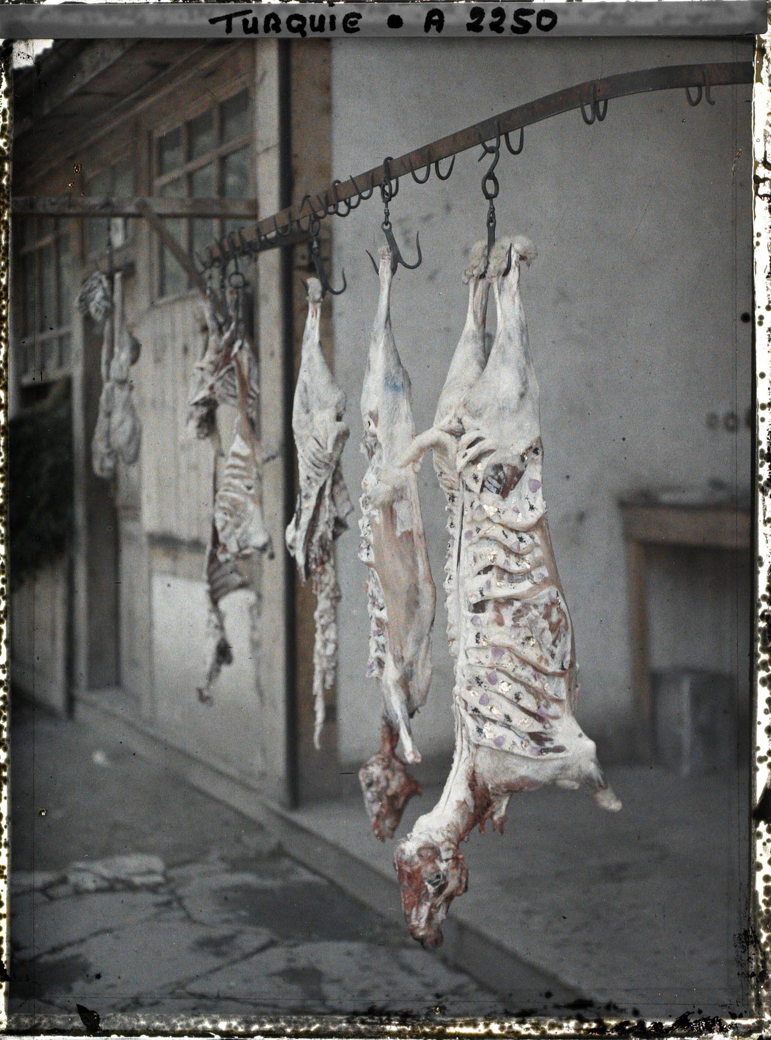 Image représentant Dans une boucherie, carcasses d'agneaux décorées de pétales de roses, de morceaux de papier décorés