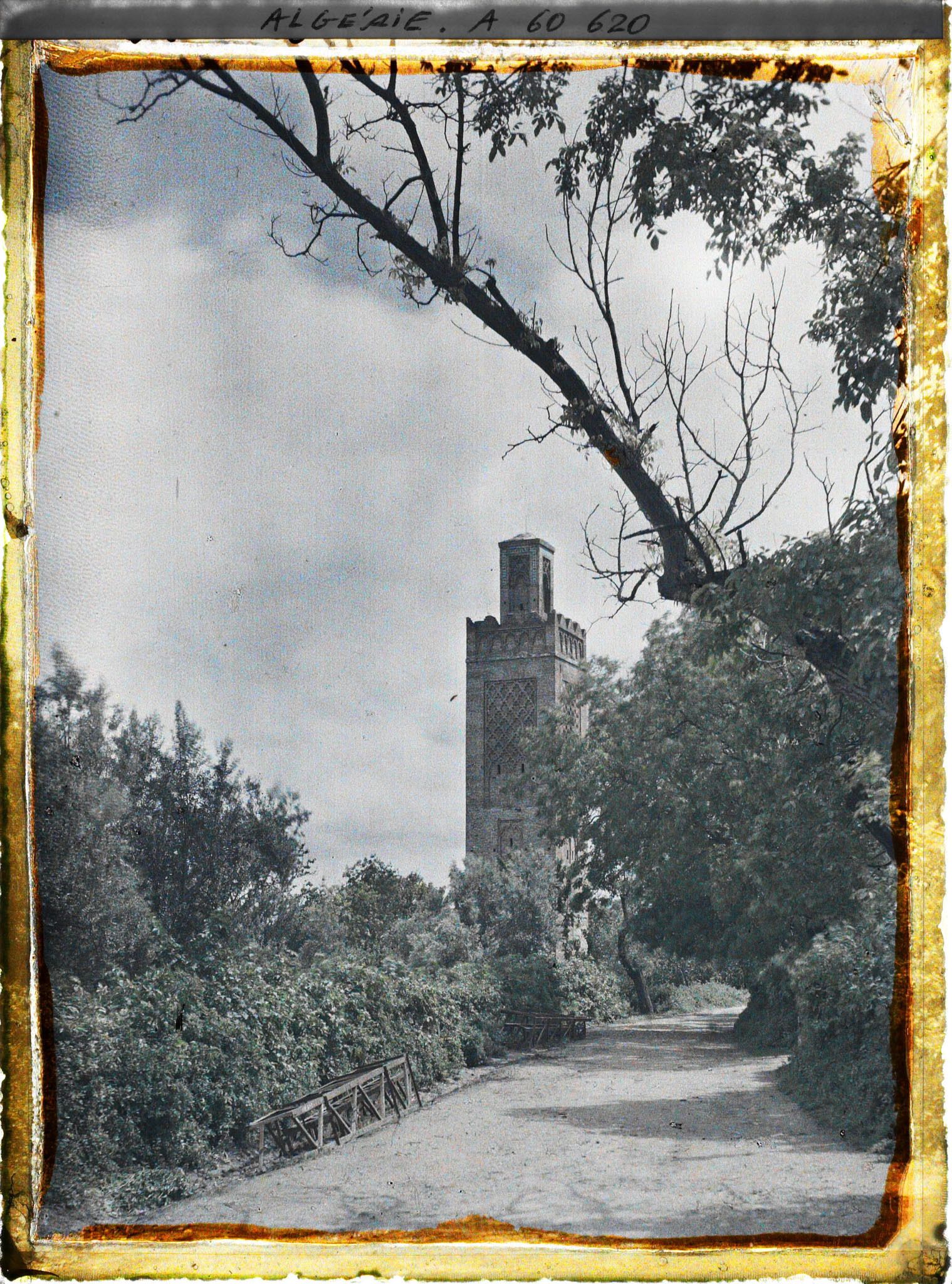 Image représentant Chemin menant à la mosquée, avec à l'arrière-plan le minaret