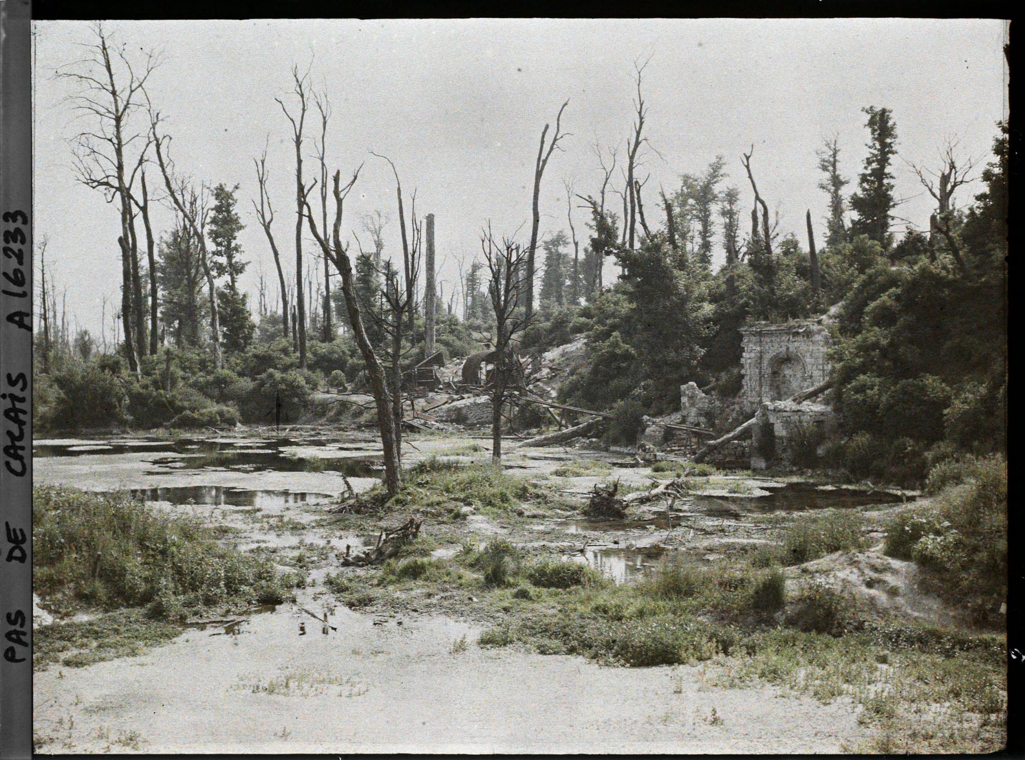 Image représentant France, Blangy, Les Sources du Moulin