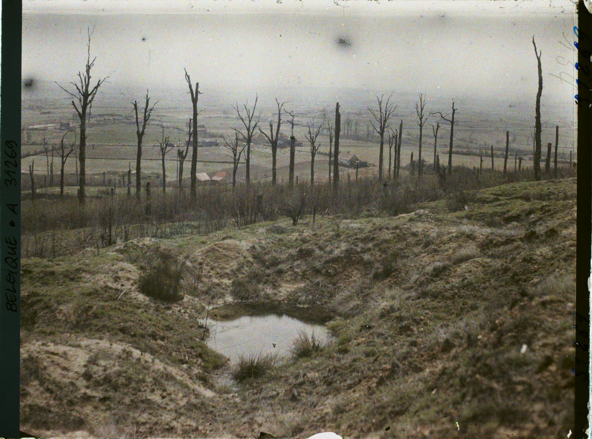 Image représentant Belgique, Kemmel, Le Bois du Kemmel et vue vers Neuve Eglise