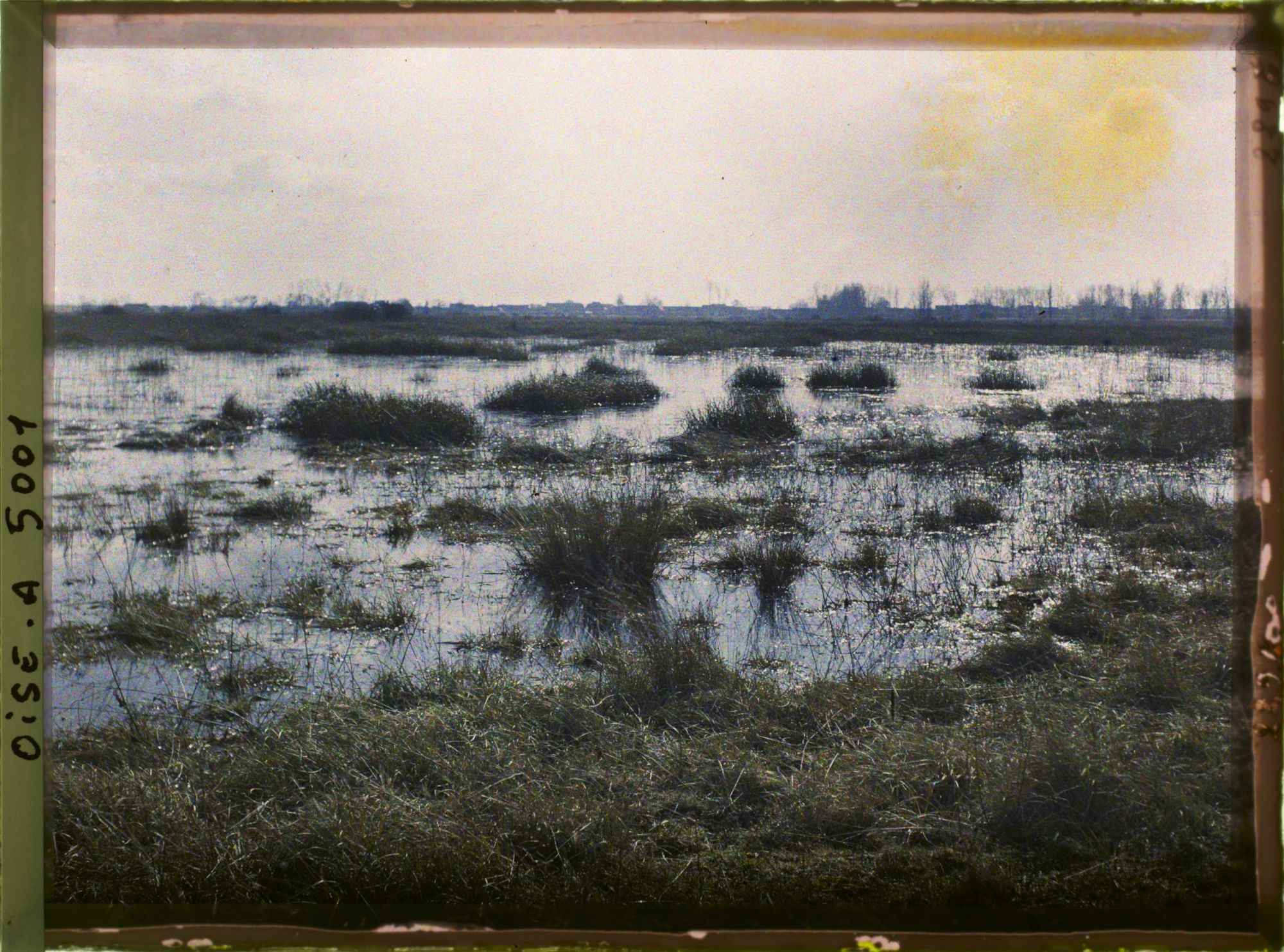 Image représentant Les marais de Saint-Gond