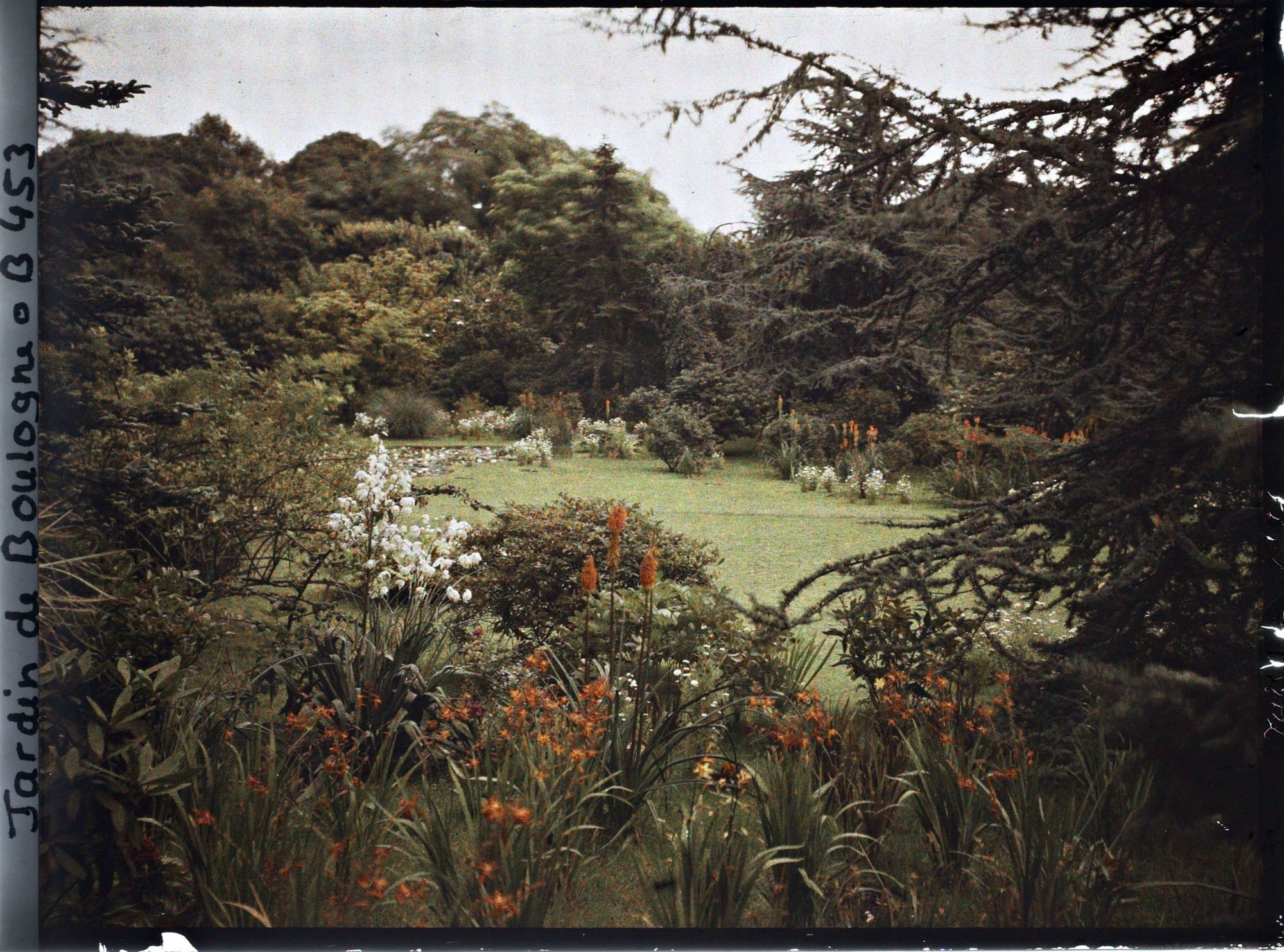 Image représentant Crocosmias et kniphofias ourlant la partie sud du marais, ici vue en direction du nord-est