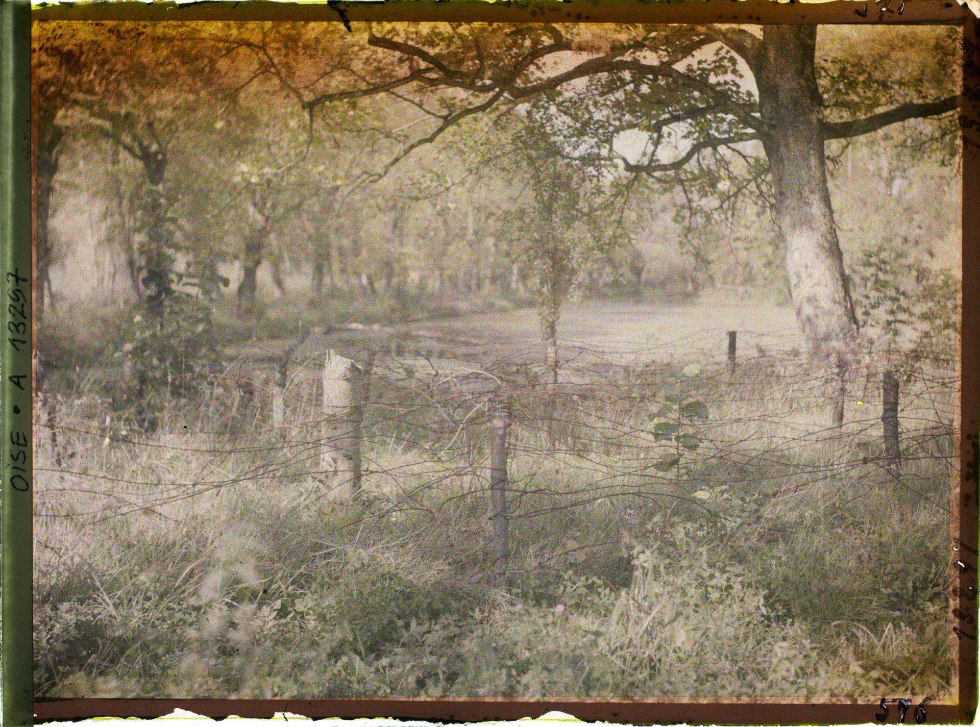 Image représentant France, Plémont, Dans le Parc (fils Barbelés)