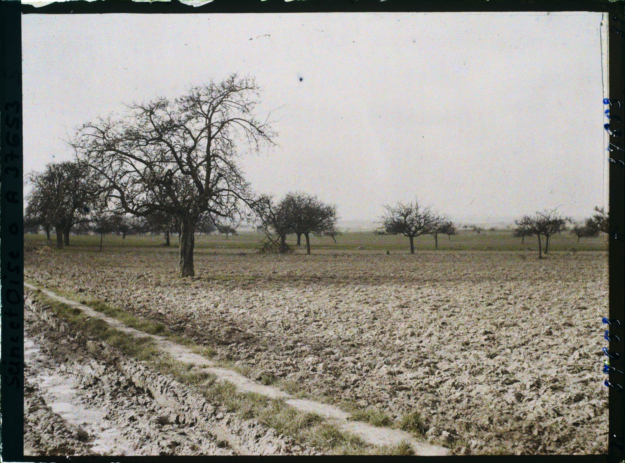 Image représentant France, Les Clayes, Champs et Pommiers