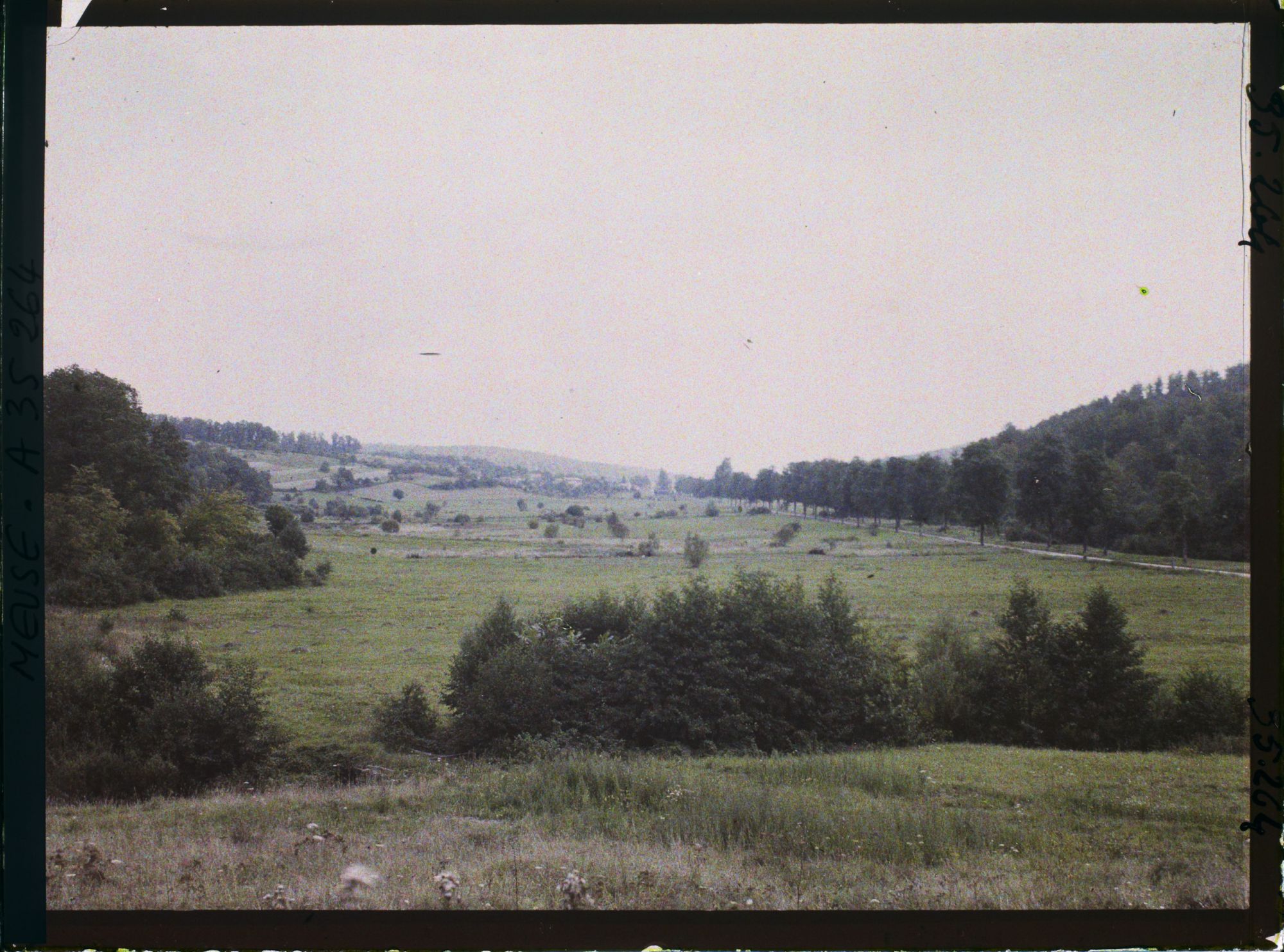 Image représentant France, La Chalade, Vallée de Biesme vers la Chalade, à gauche bois de la Chalade, à gauche les Hauts Batis, au fond forêt de Perruptes en bas. Ruisseau de Courte Chausse