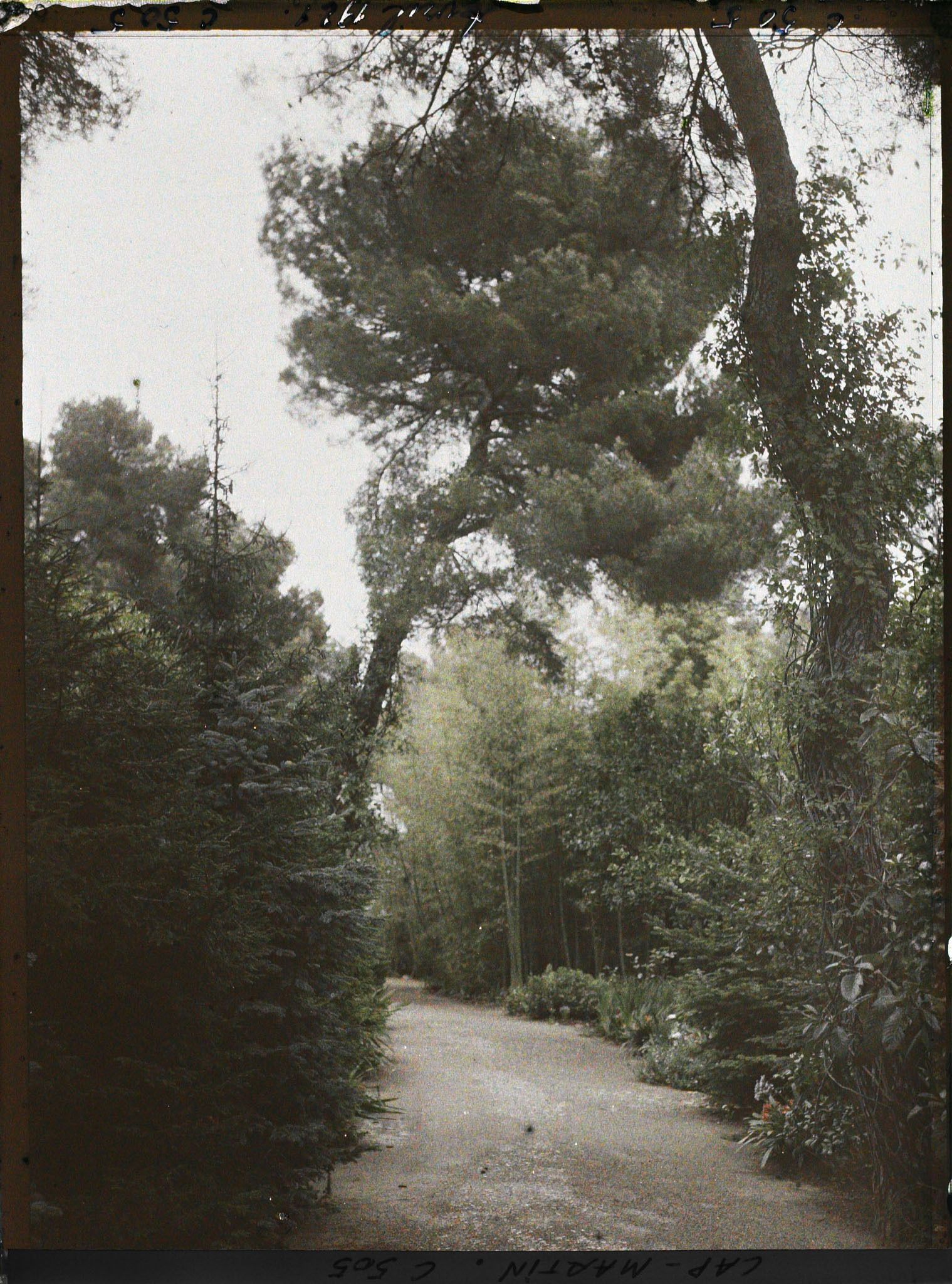 Image représentant Cap Martin Le Jardin