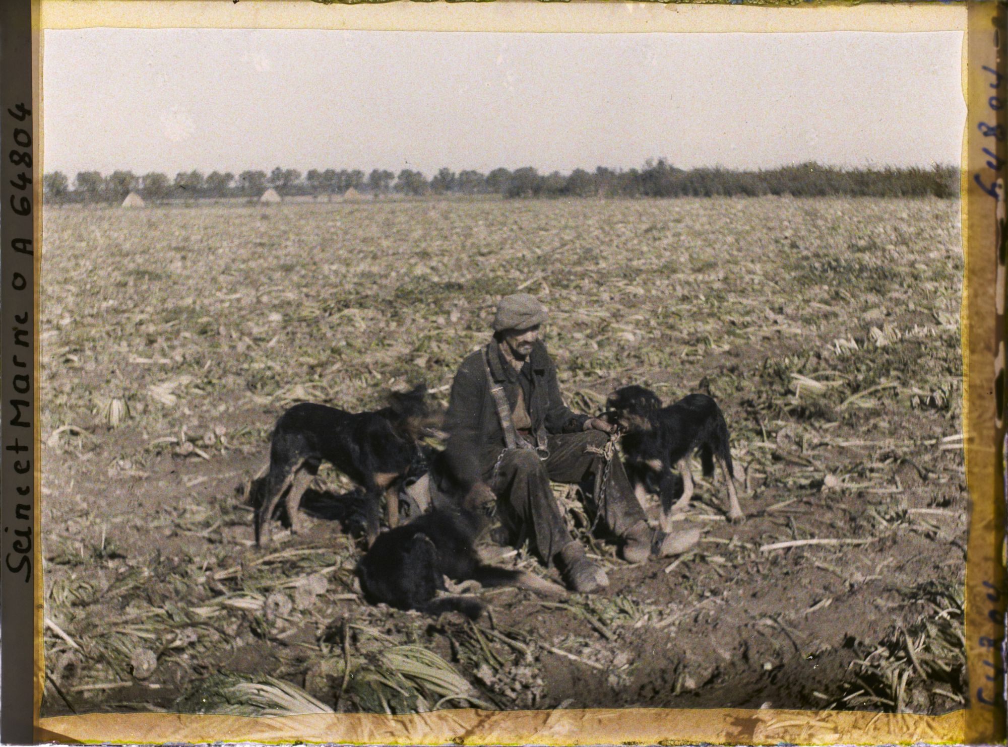 Image représentant Seine et Marne, Guermantes, Berger et ses Chiens