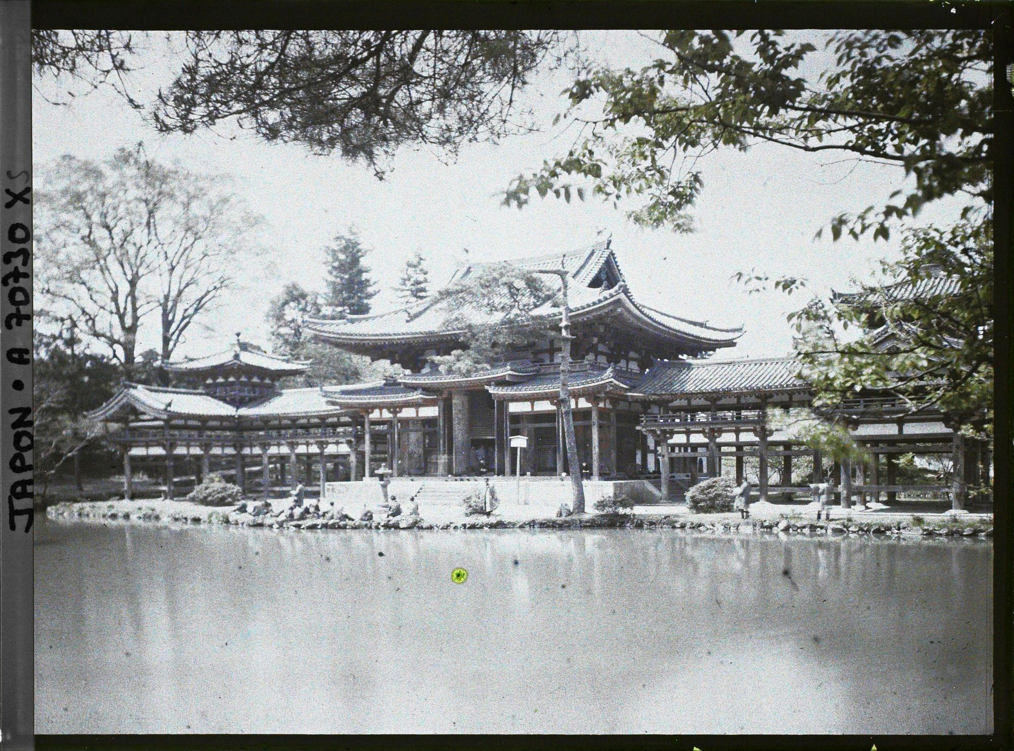 Image représentant Temple Byôdô-in : le Hôôdô (pavillon du phoenix) et l'étang aux lotus