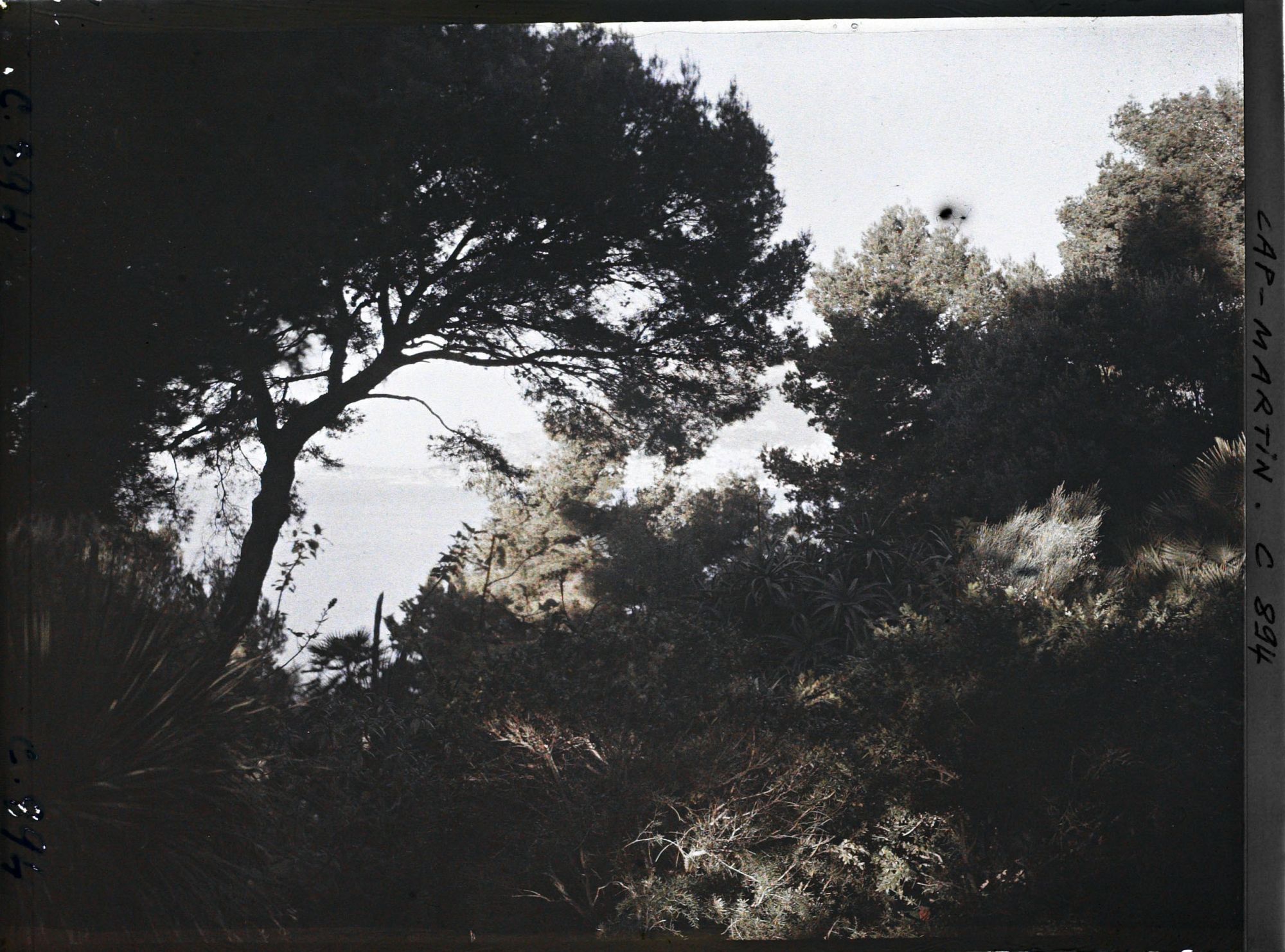 Image représentant Effet du matin s/ Monaco (autre)