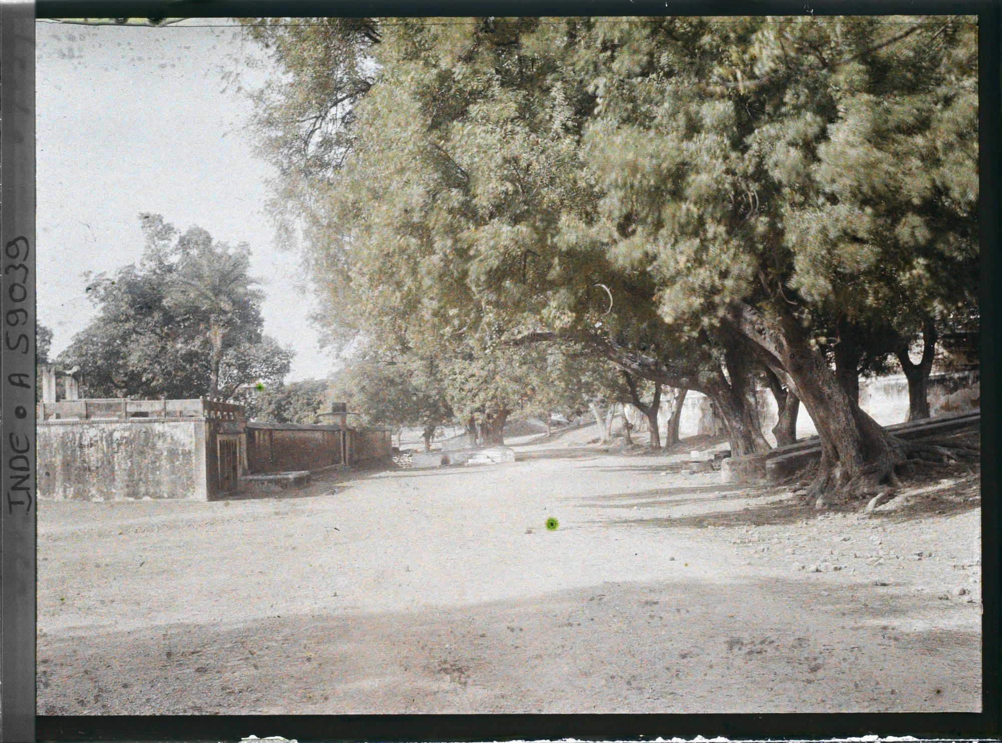Image représentant Route de Sarnath