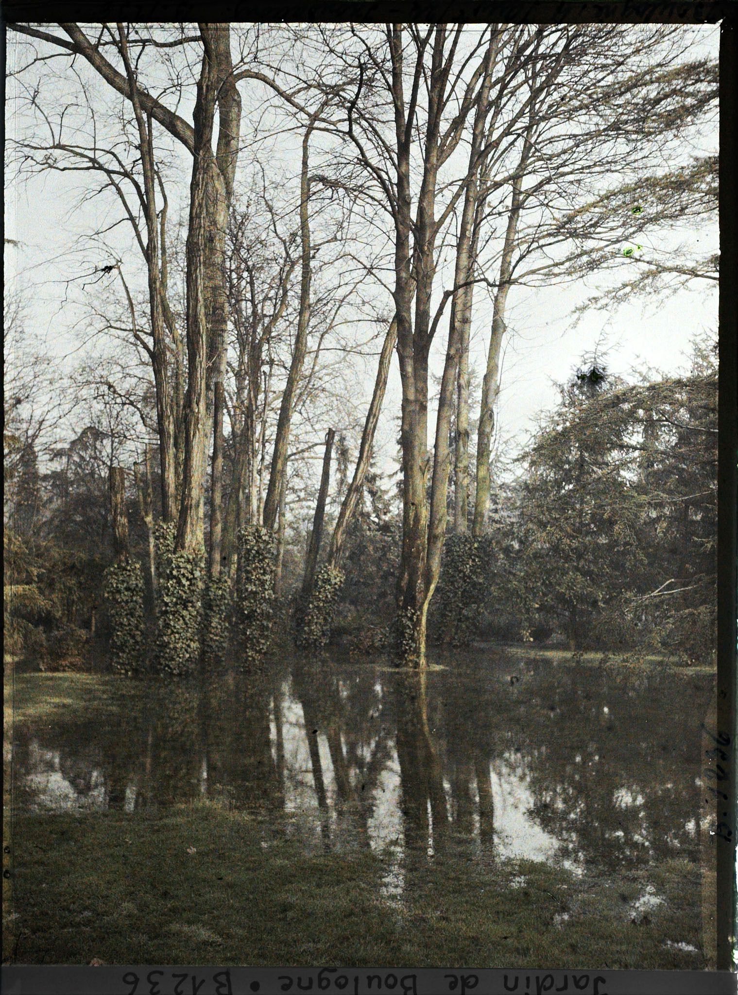 Image représentant La grande pelouse inondée