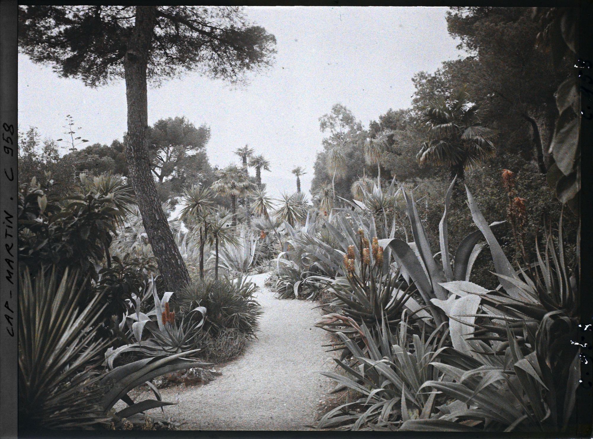 Image représentant Le Jardin