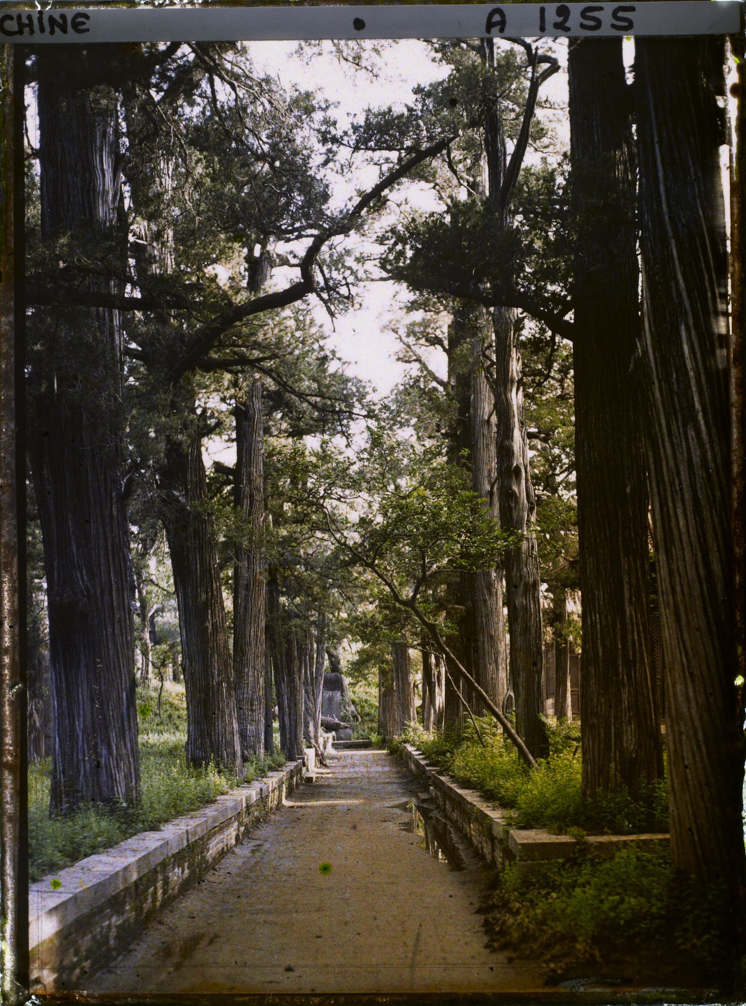 Image représentant Konglin, la nécropole de la famille de Confucius