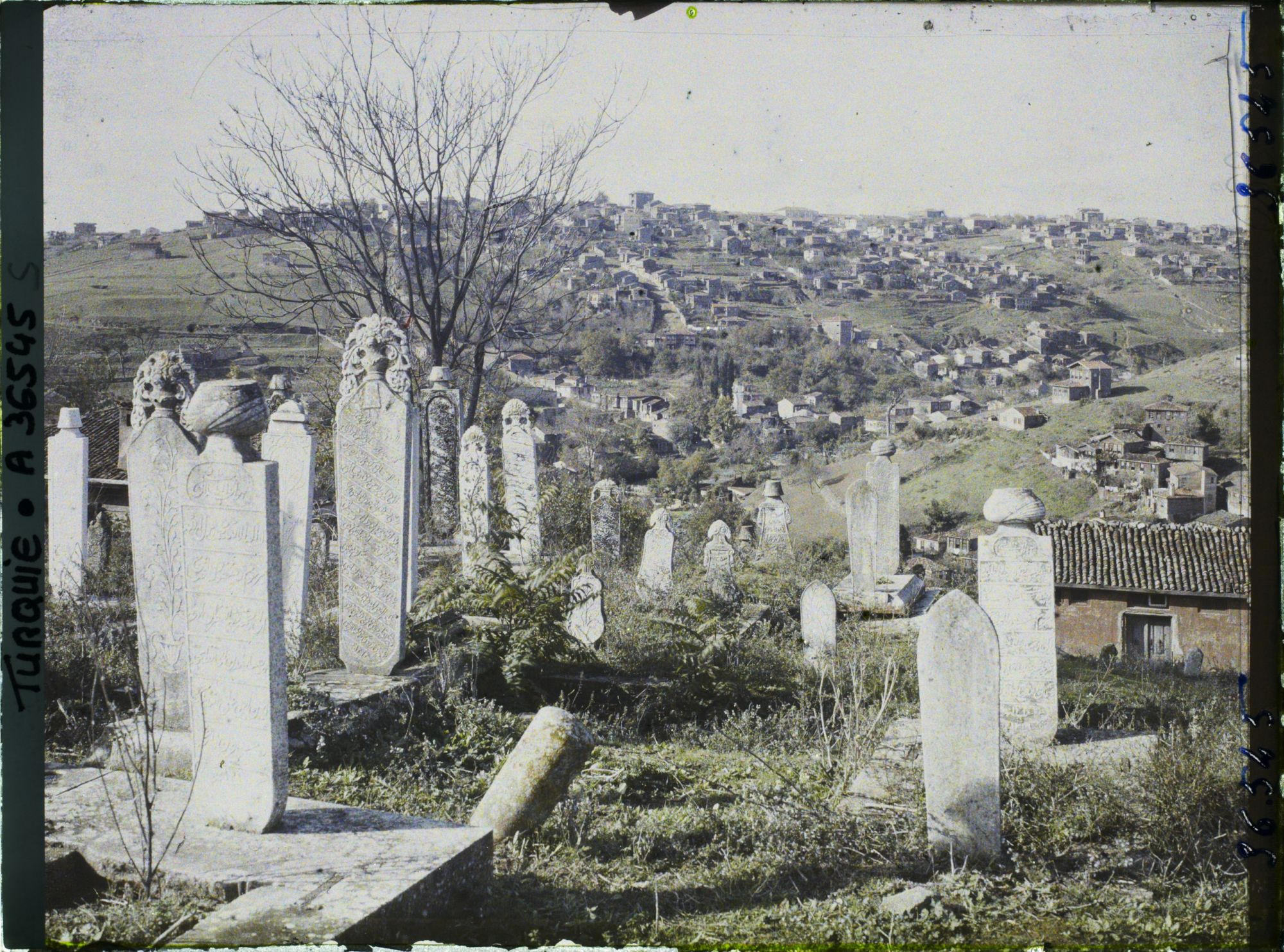 Image représentant Turquie, Constantinople- Eyoub, Petit Village d'Eyoub et tombes du Cimetière