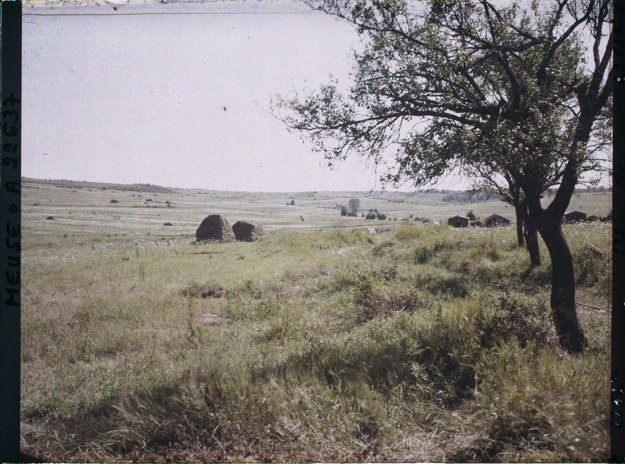 Image représentant France, Marre, Les pentes du bois Bourru  Dans le fond, le bois Bourru