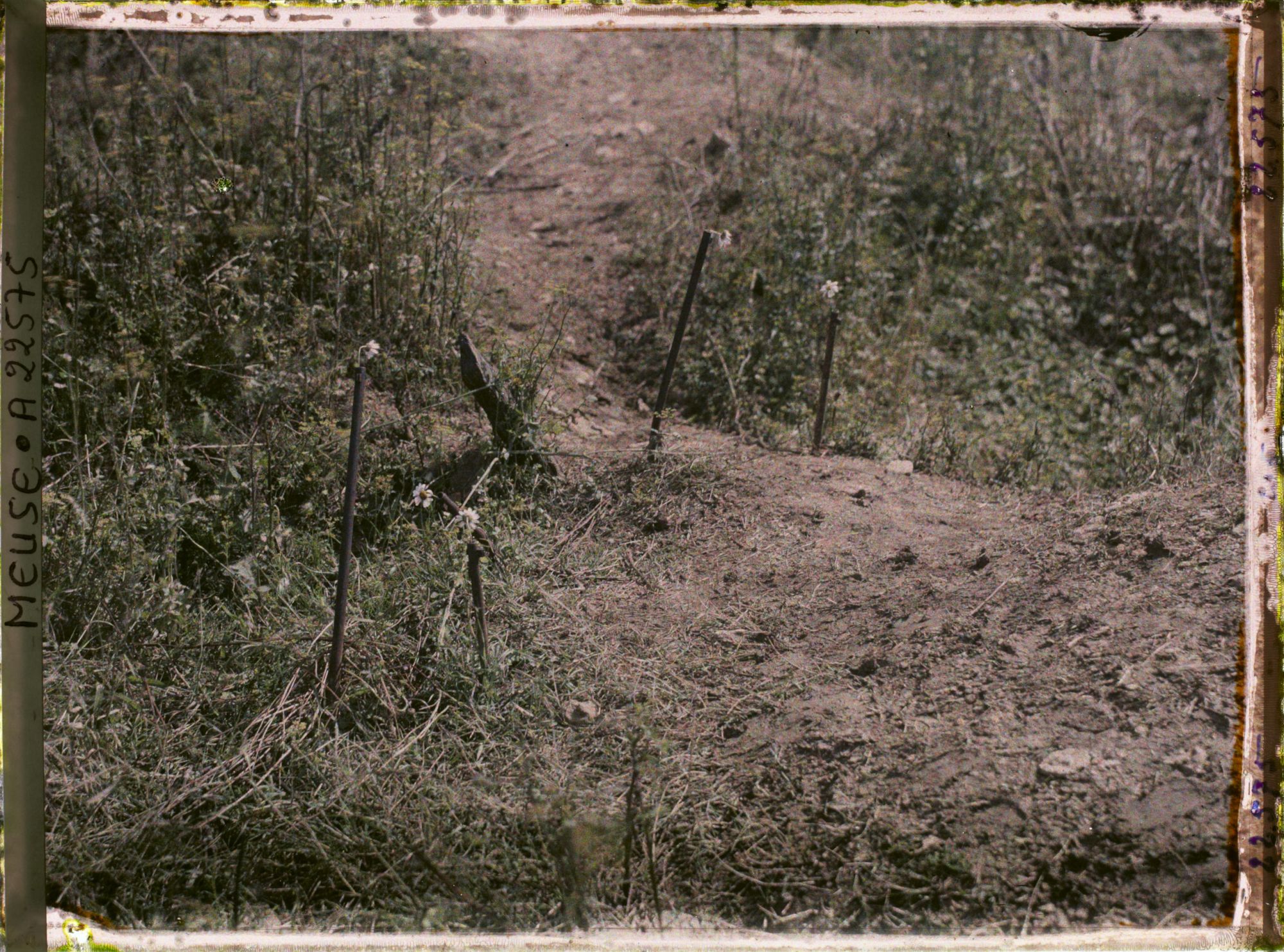 Image représentant France, Douaumont, Tranchée des Baïonnettes (5 fusils sortant du sol)
